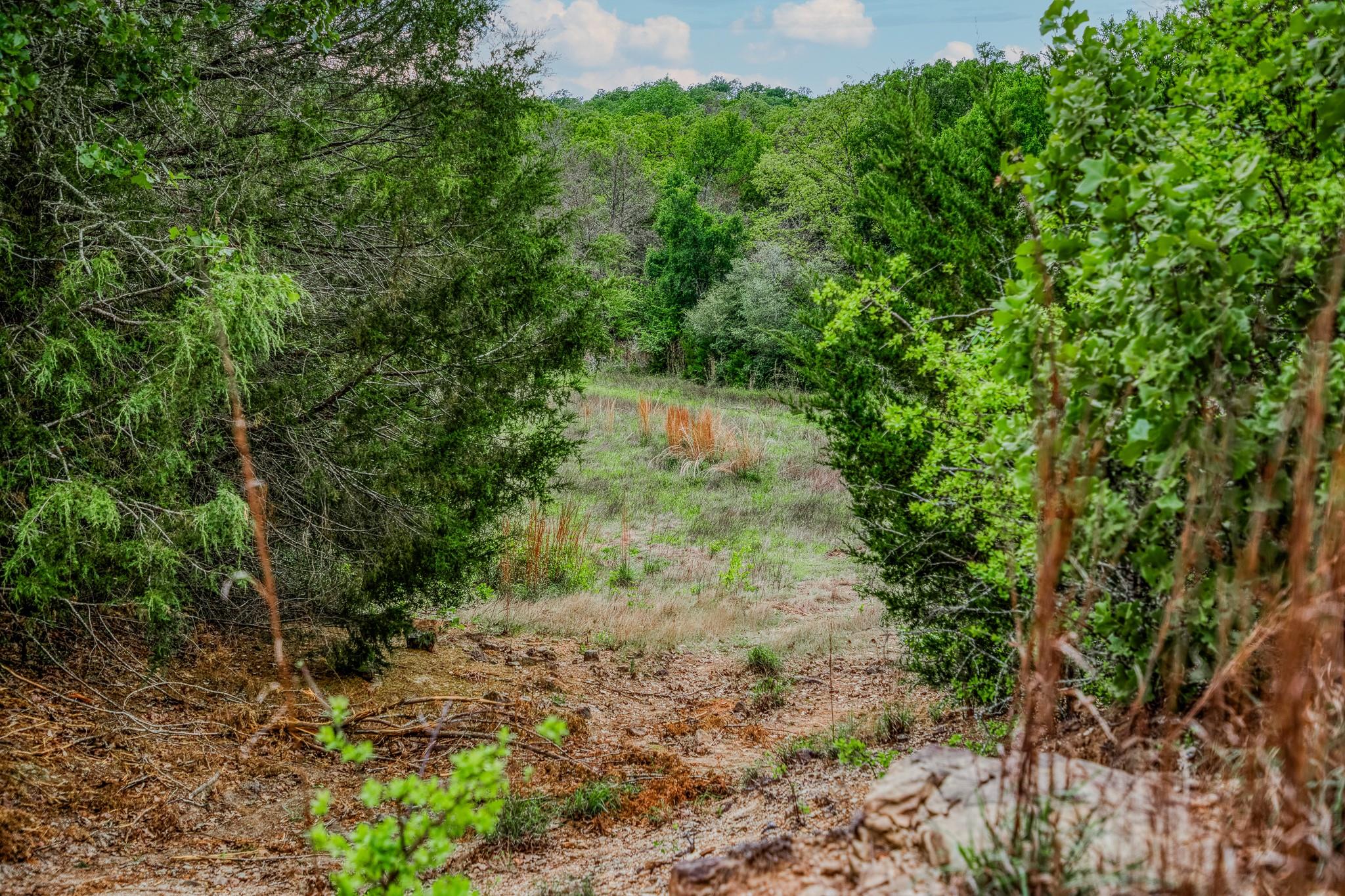 TBD (56.135 Acres) County Road 125, Ledbetter, TX 78946
