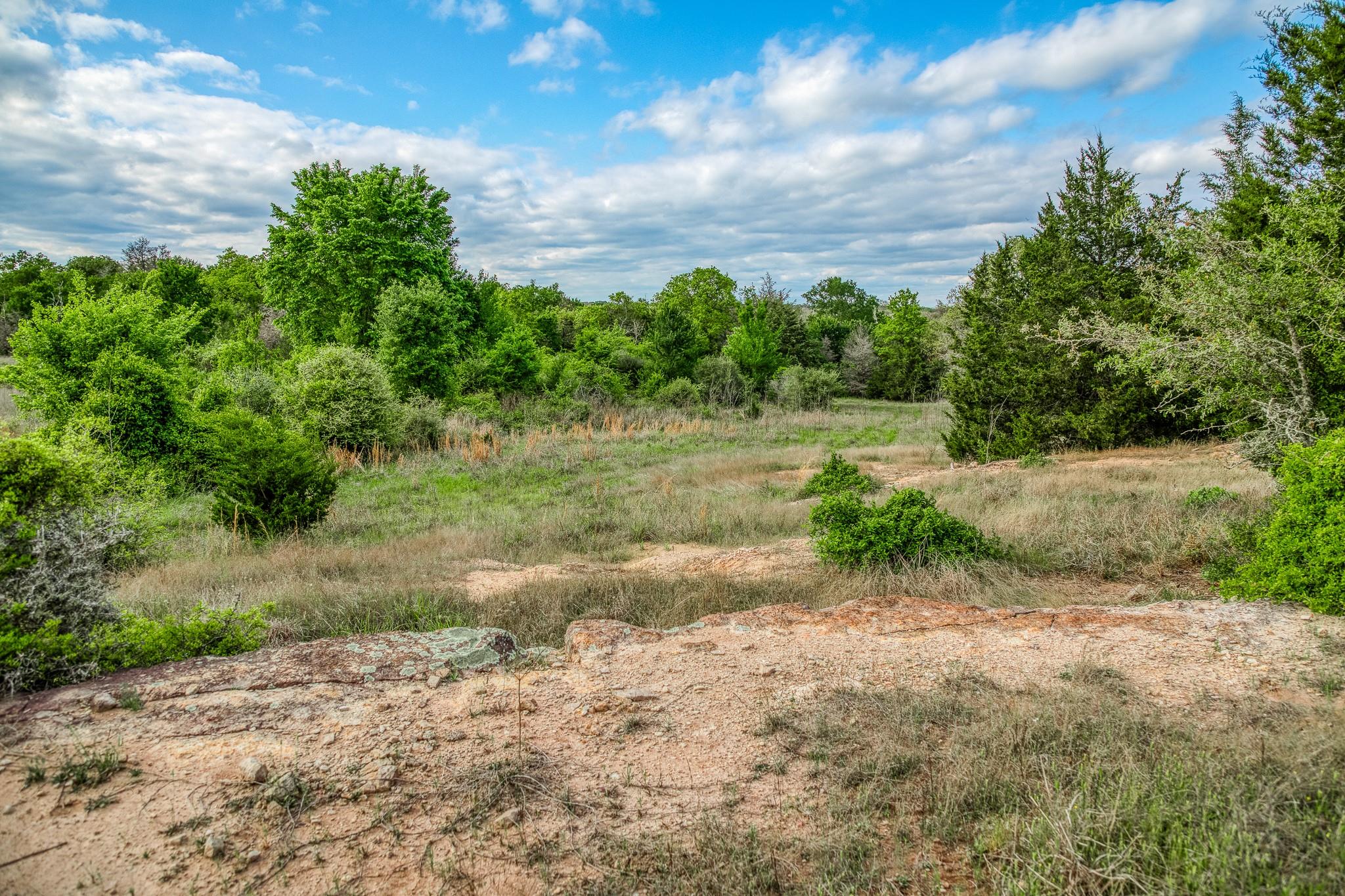 TBD (56.135 Acres) County Road 125, Ledbetter, TX 78946