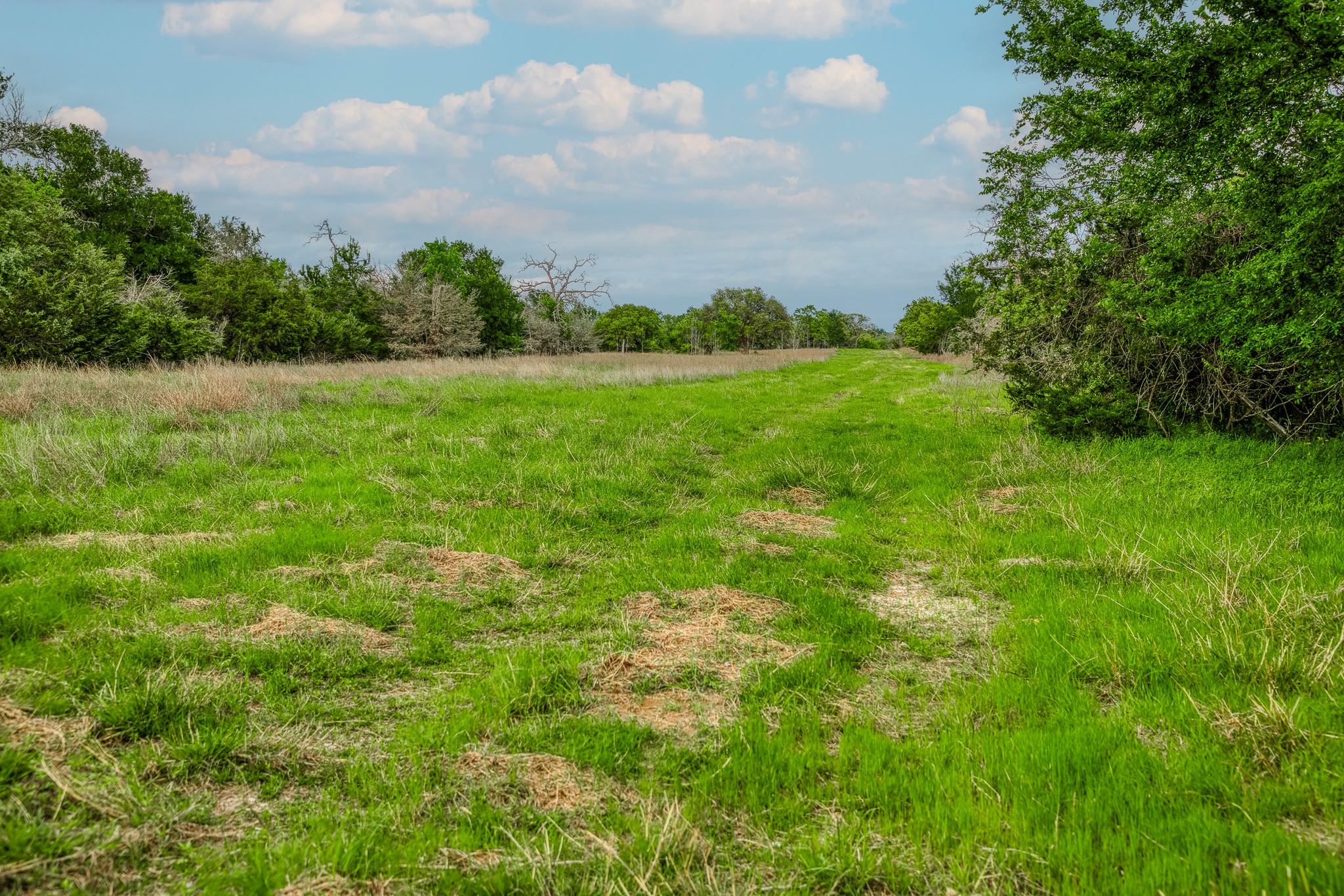 TBD (56.135 Acres) County Road 125, Ledbetter, TX 78946