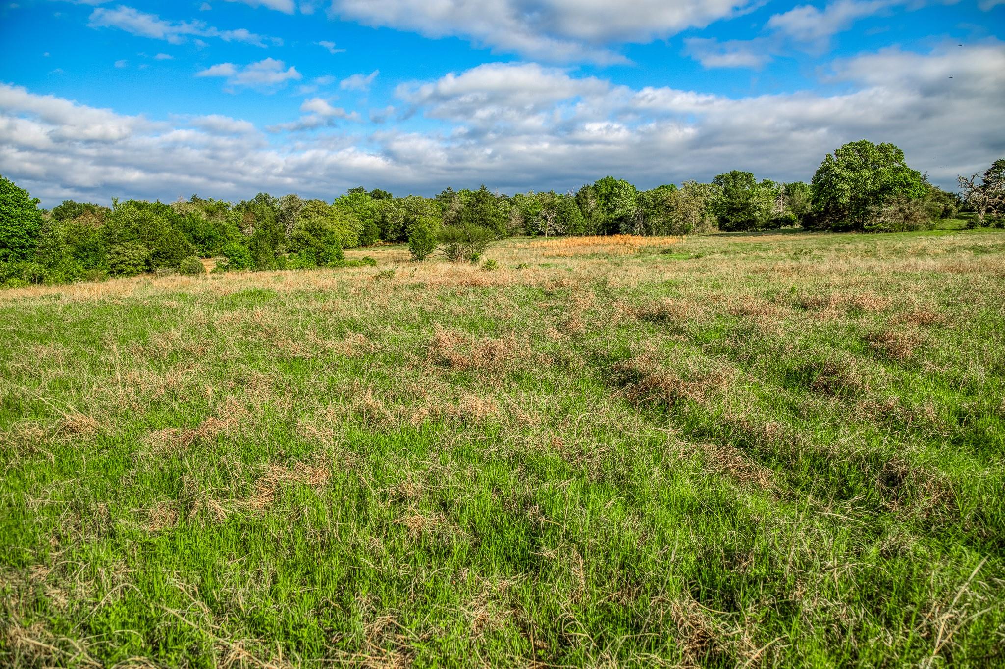 TBD (56.135 Acres) County Road 125, Ledbetter, TX 78946