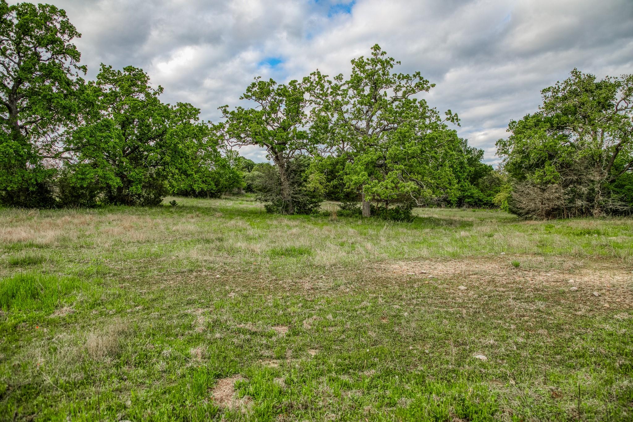 TBD (56.135 Acres) County Road 125, Ledbetter, TX 78946