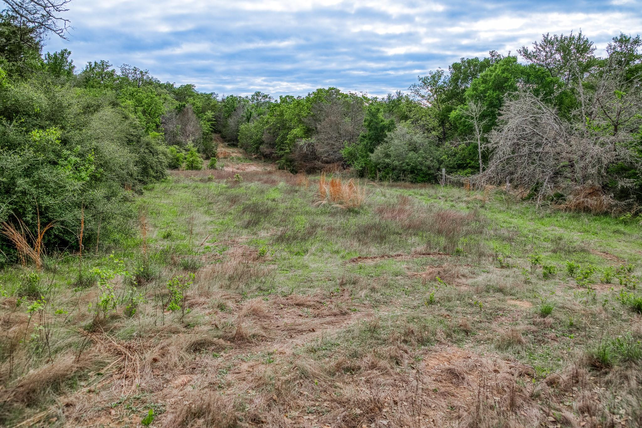 TBD (56.135 Acres) County Road 125, Ledbetter, TX 78946