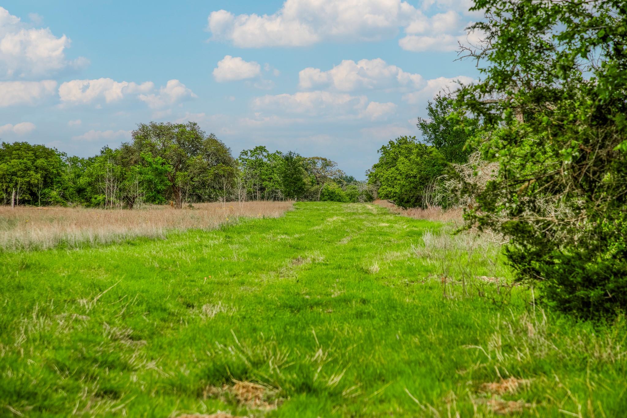 TBD (56.135 Acres) County Road 125, Ledbetter, TX 78946