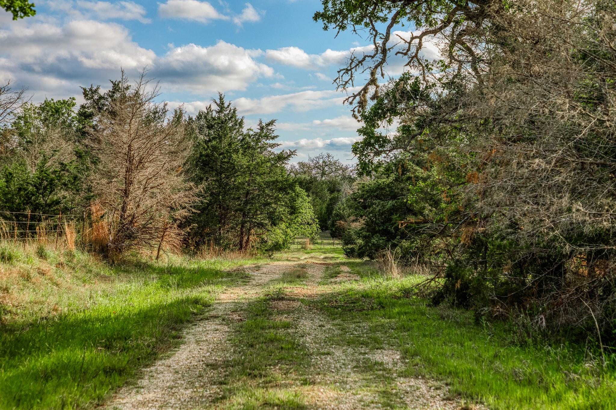 TBD (56.135 Acres) County Road 125, Ledbetter, TX 78946
