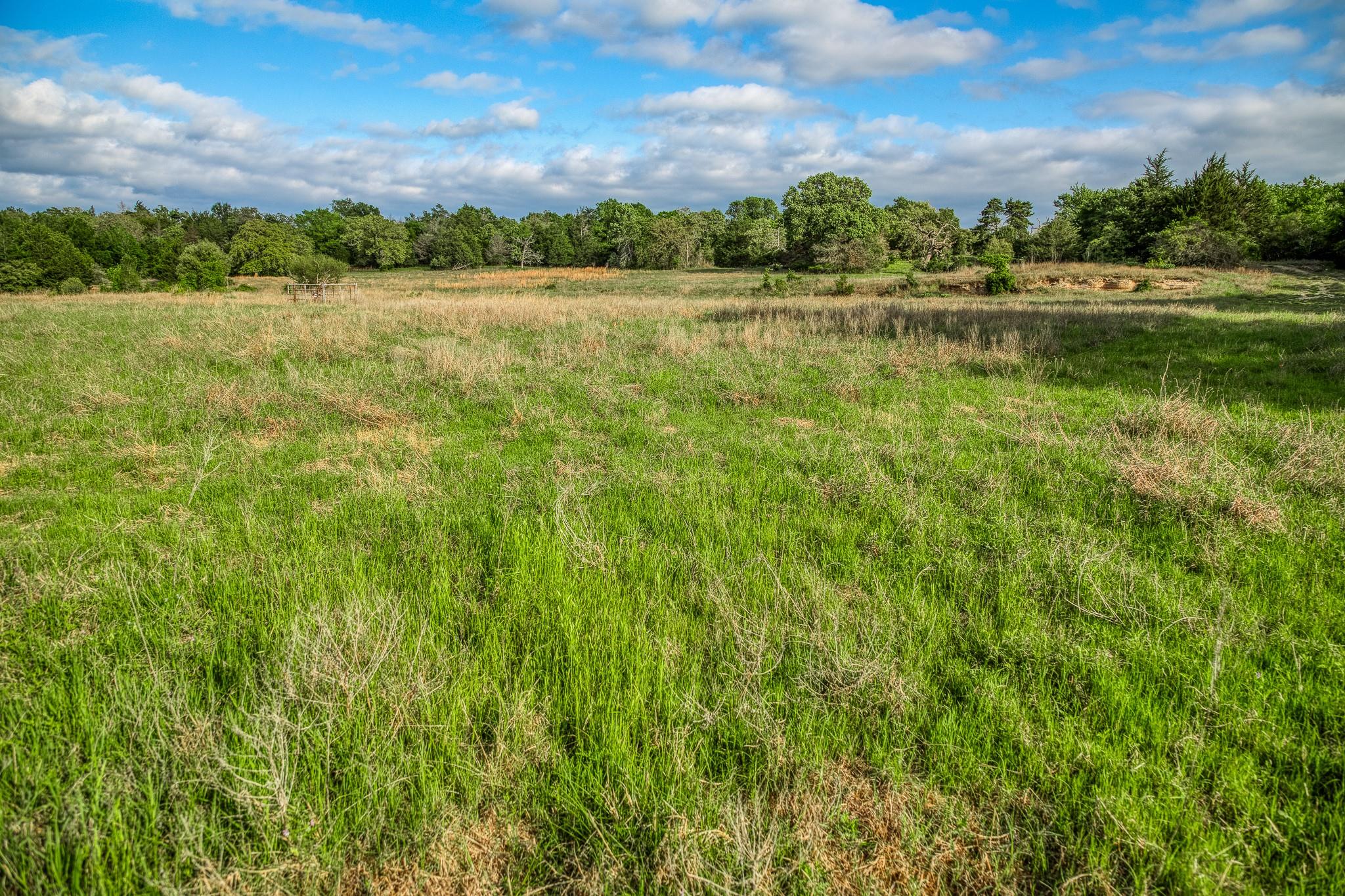 TBD (56.135 Acres) County Road 125, Ledbetter, TX 78946