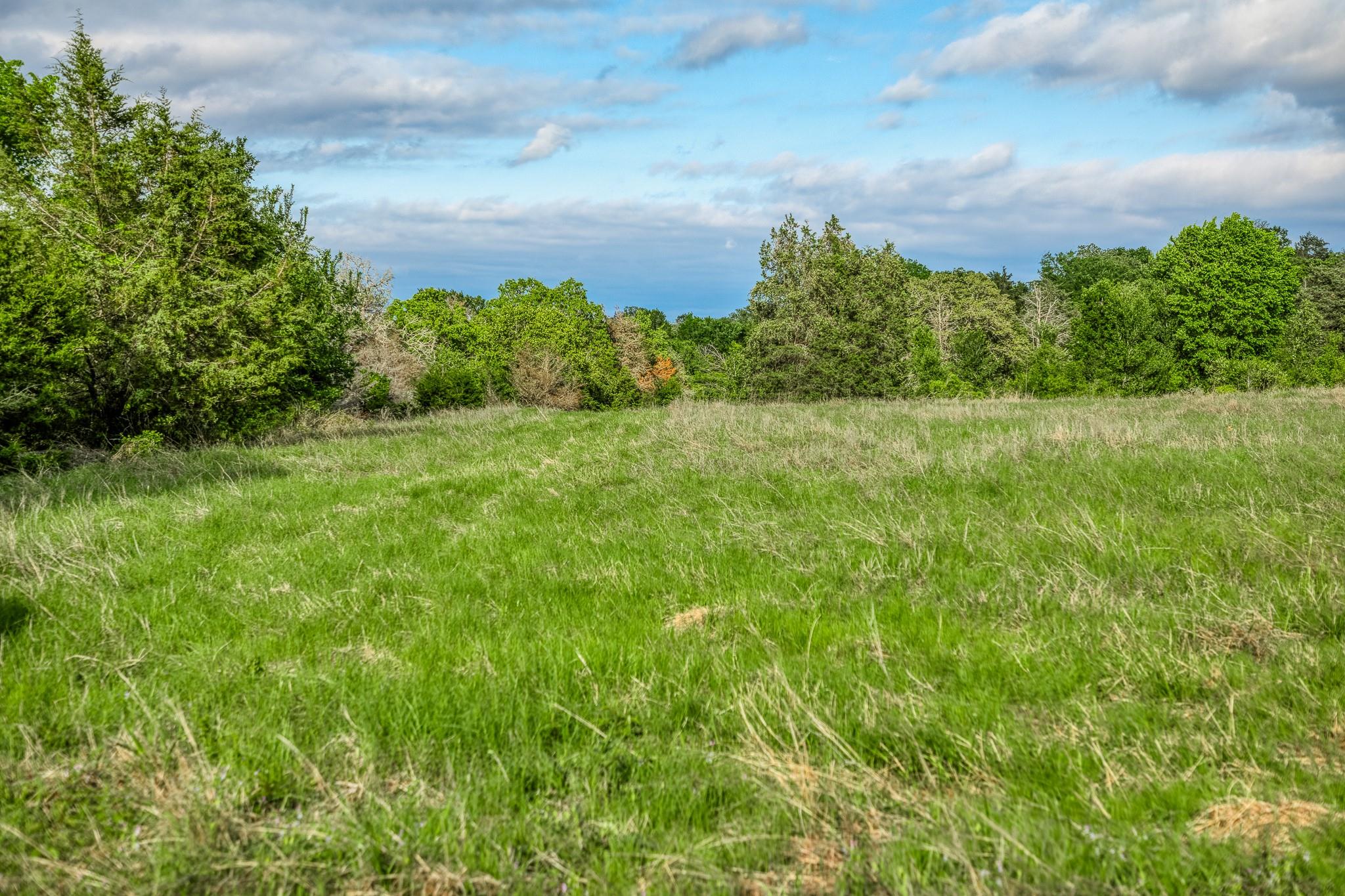 TBD (56.135 Acres) County Road 125, Ledbetter, TX 78946