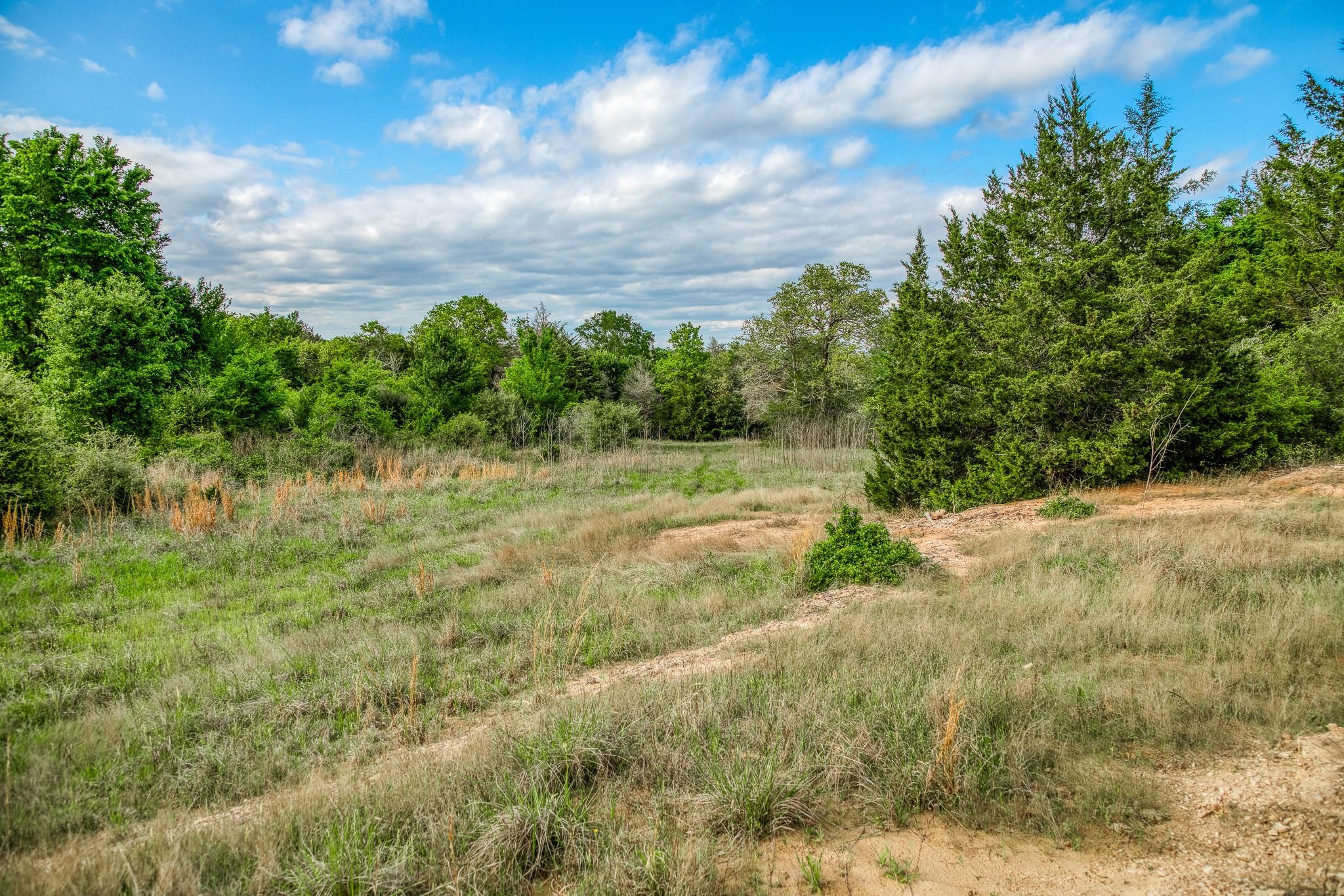 TBD (56.135 Acres) County Road 125, Ledbetter, TX 78946