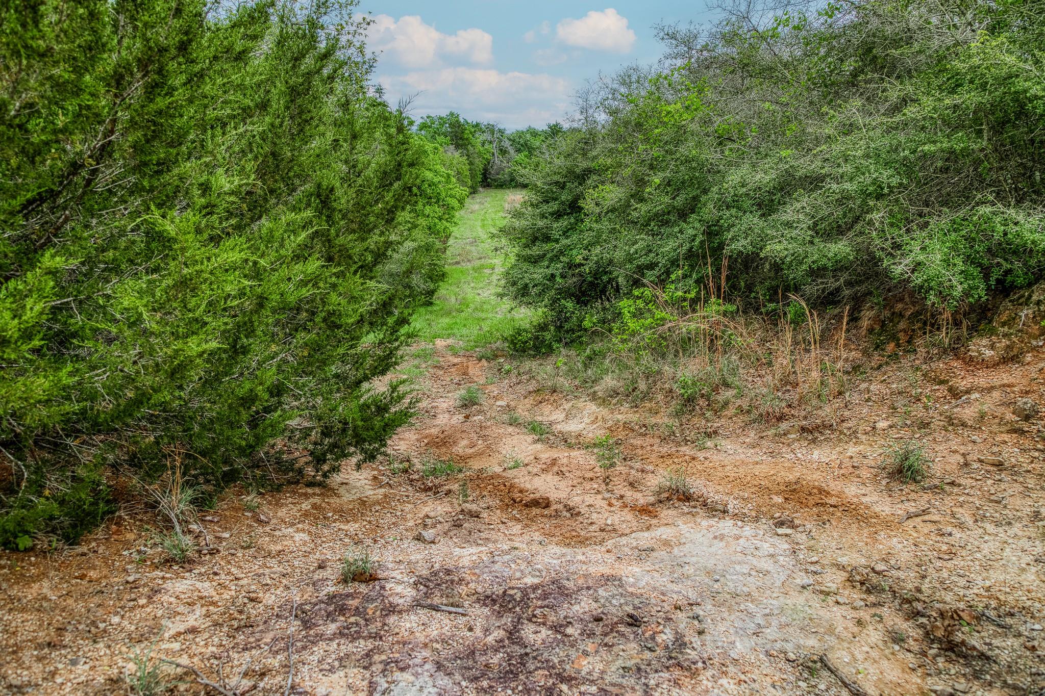 TBD (56.135 Acres) County Road 125, Ledbetter, TX 78946