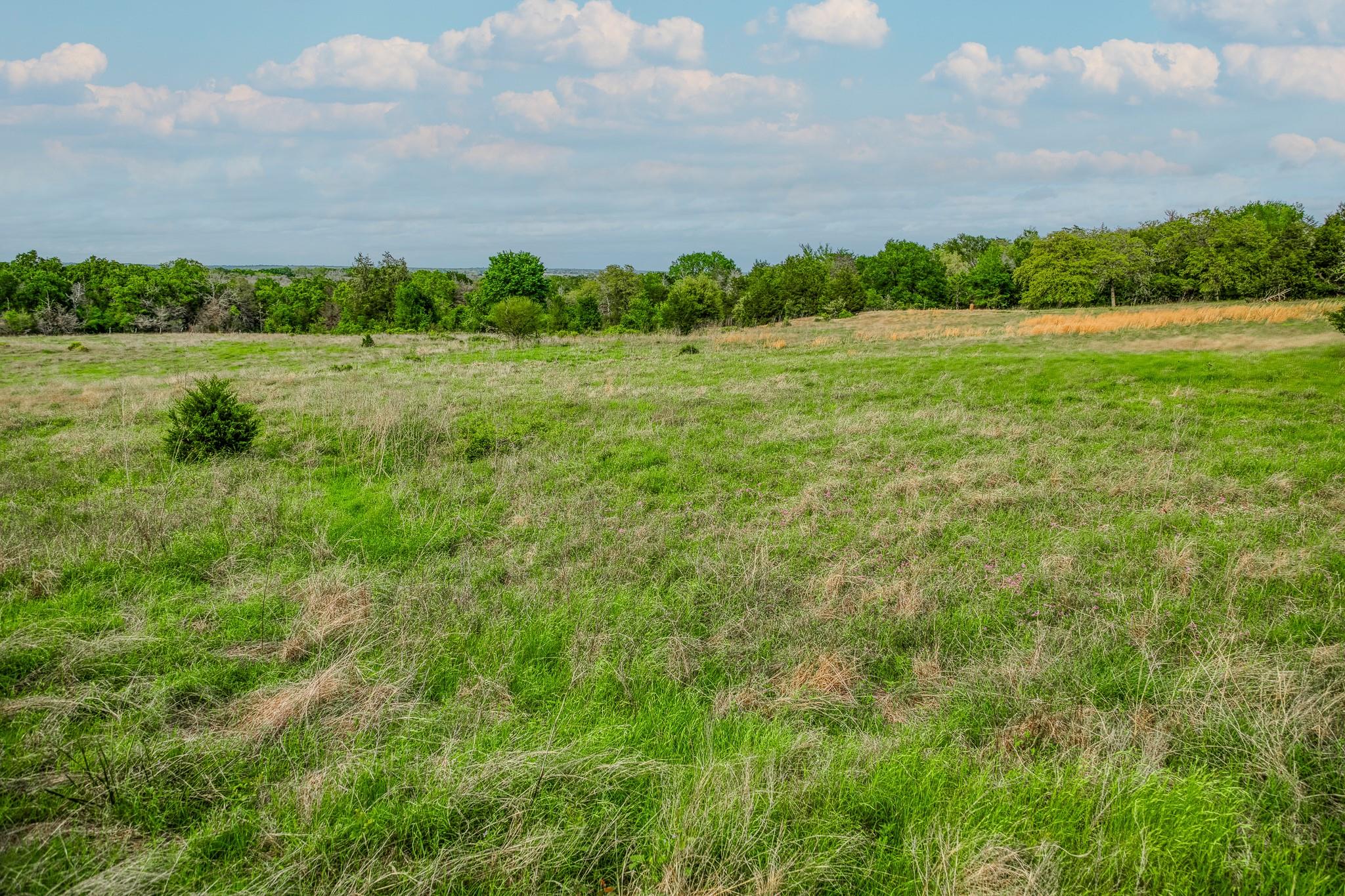 TBD (56.135 Acres) County Road 125, Ledbetter, TX 78946