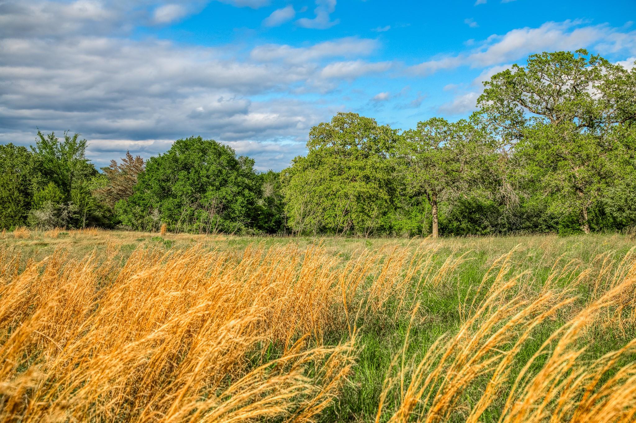 TBD (56.135 Acres) County Road 125, Ledbetter, TX 78946