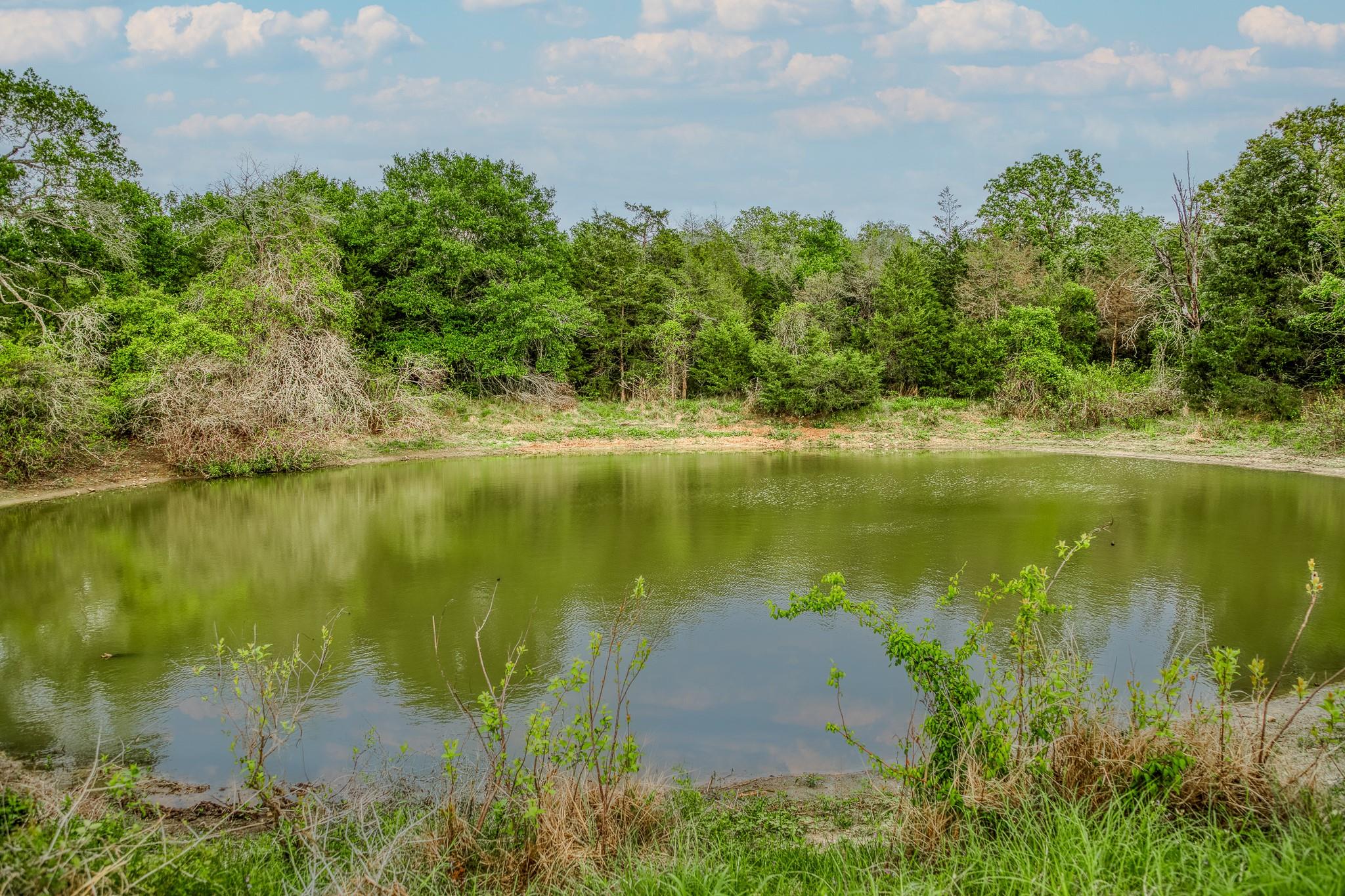 TBD (56.135 Acres) County Road 125, Ledbetter, TX 78946