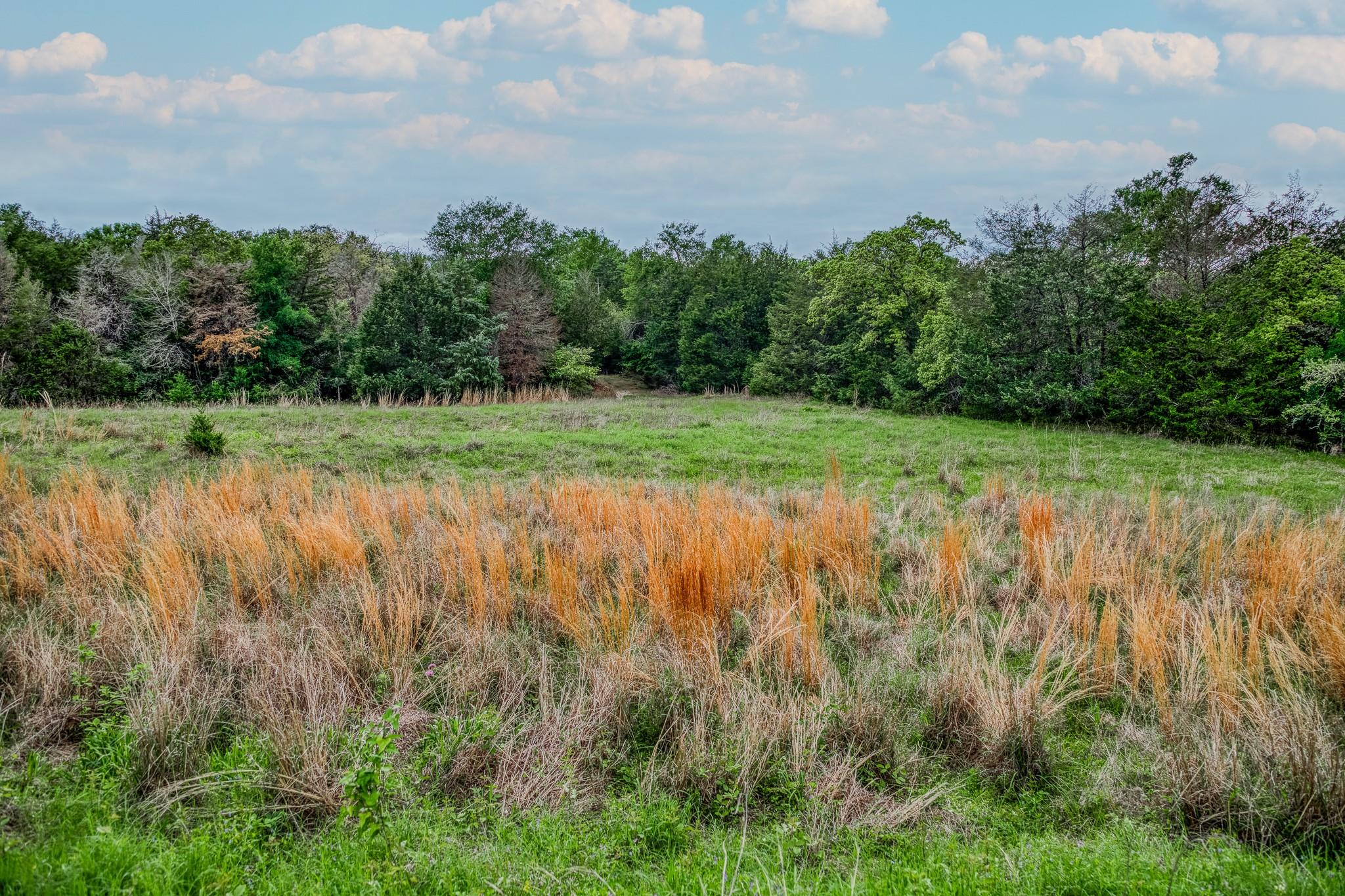 TBD (56.135 Acres) County Road 125, Ledbetter, TX 78946