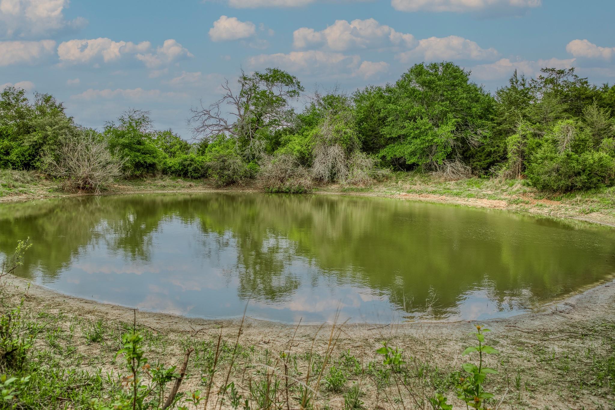 TBD (56.135 Acres) County Road 125, Ledbetter, TX 78946