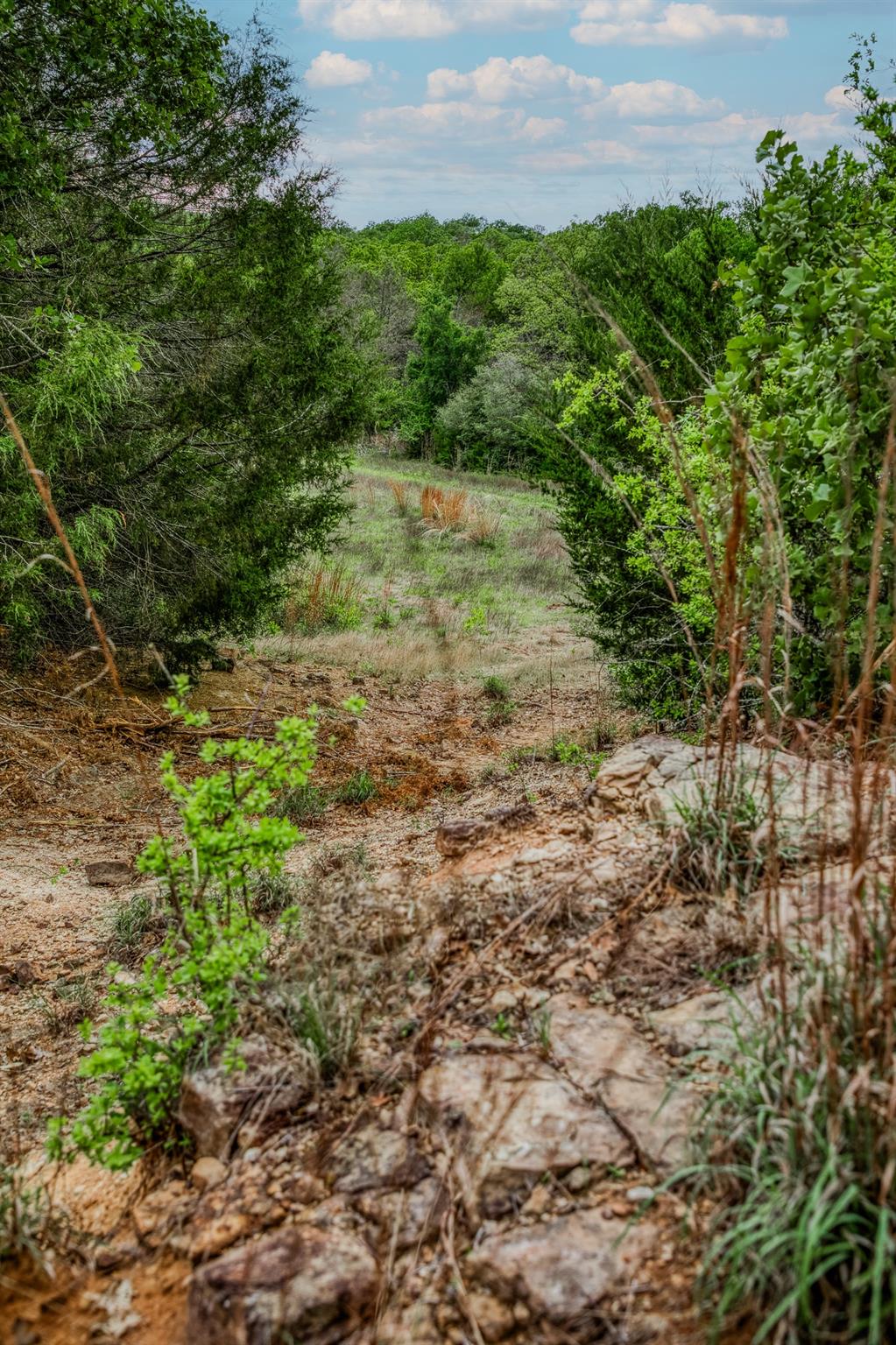 TBD (56.135 Acres) County Road 125, Ledbetter, TX 78946