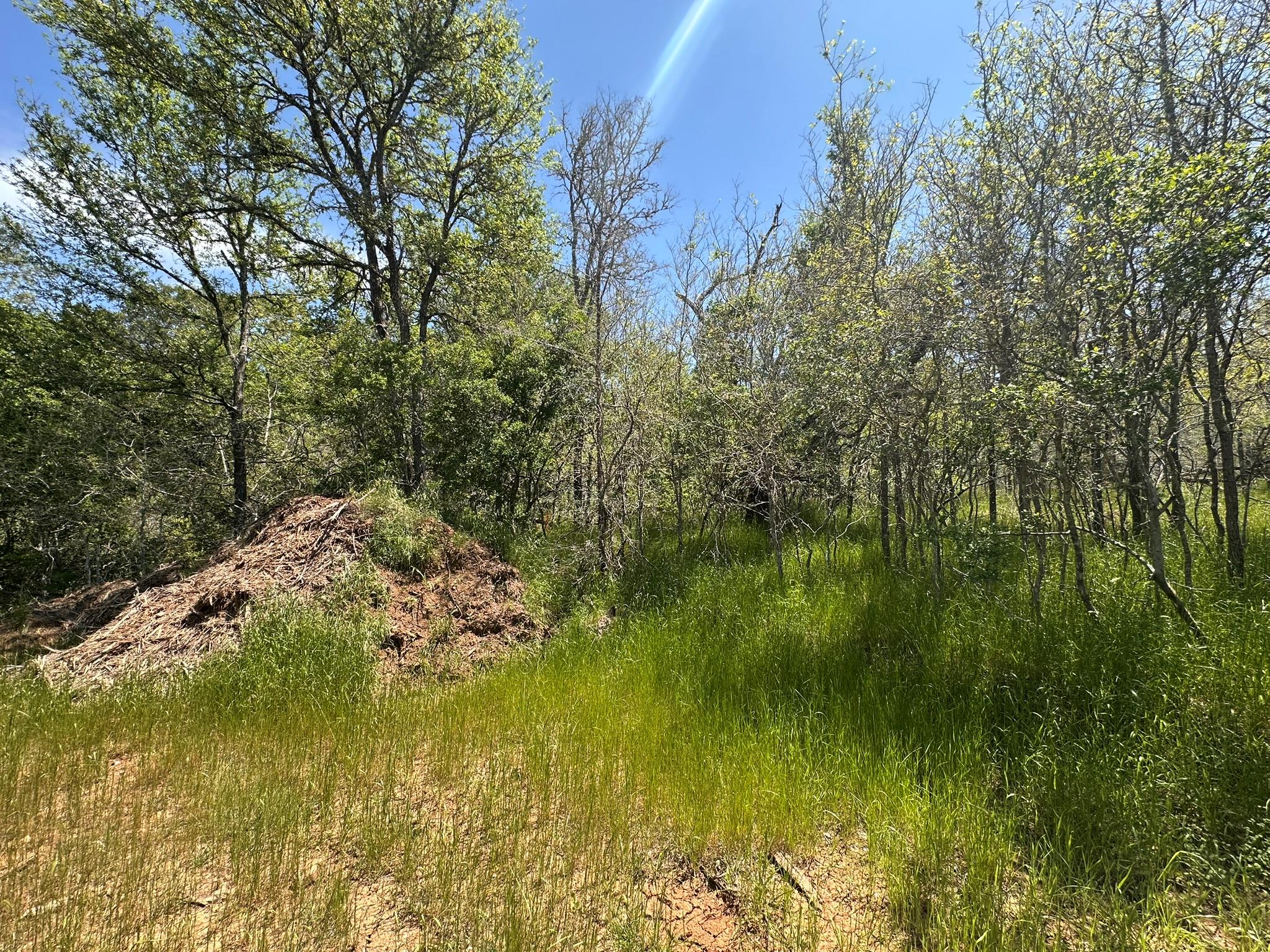 237 Mokulua Ln, Bastrop, TX 78602