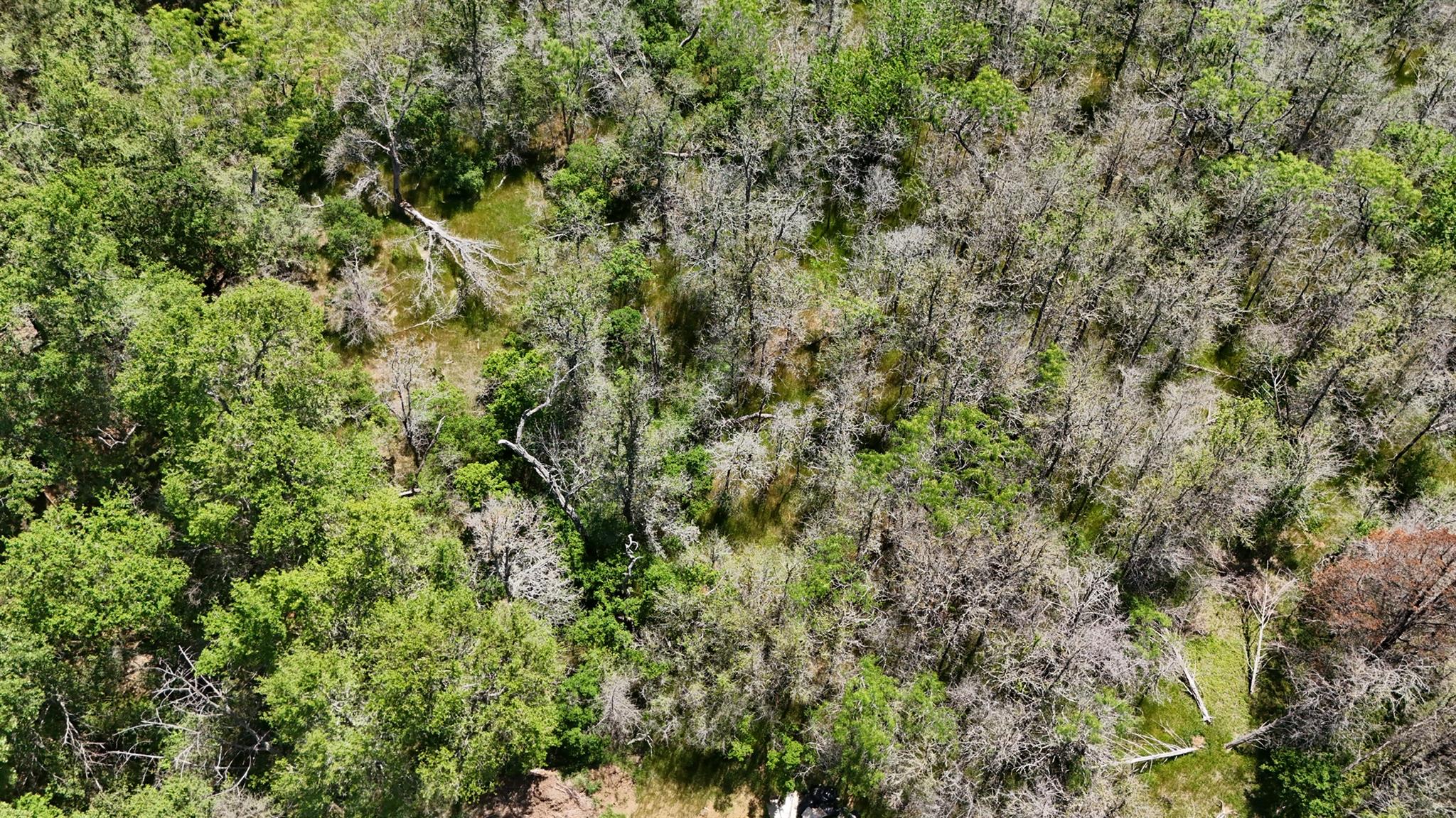 237 Mokulua Ln, Bastrop, TX 78602