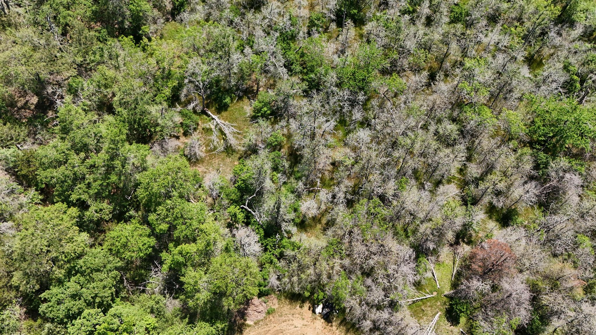237 Mokulua Ln, Bastrop, TX 78602