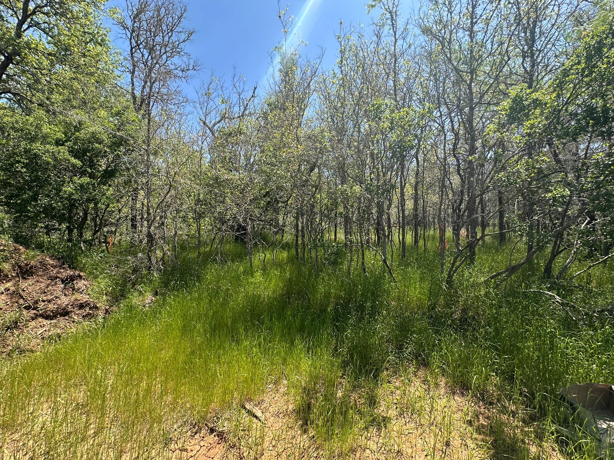 237 Mokulua Ln, Bastrop, TX 78602