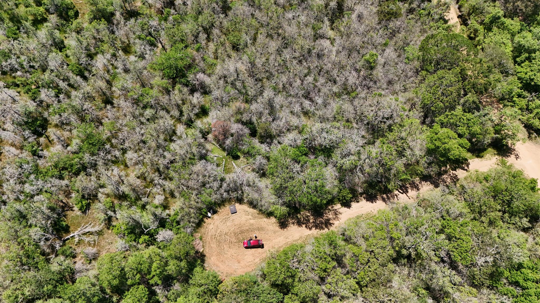 237 Mokulua Ln, Bastrop, TX 78602