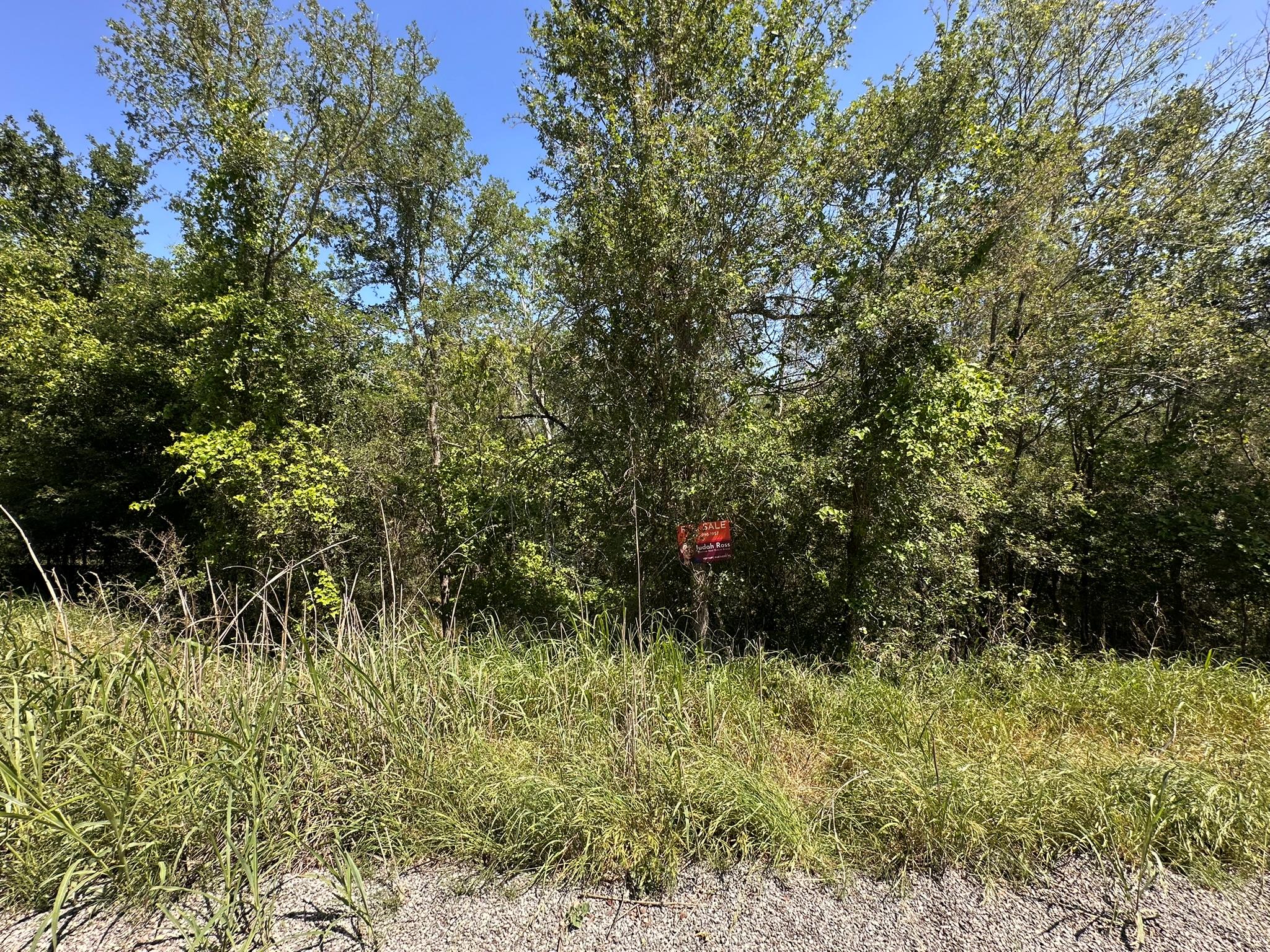 147 Waikiki Dr, Bastrop, TX 78602