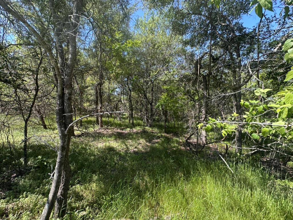 163 Waimanalo Dr, Bastrop, TX 78602
