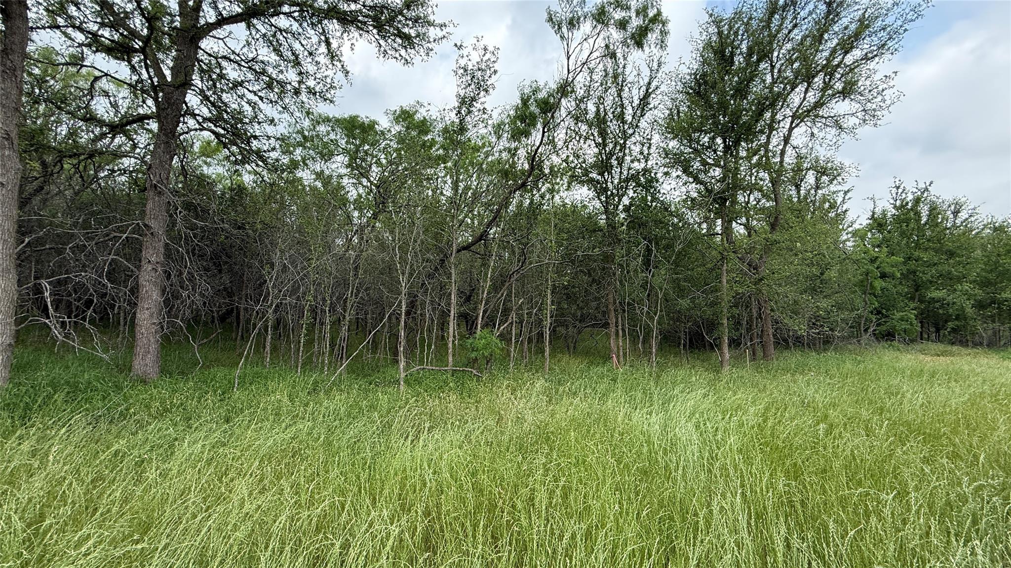 131 W Pauwela Ln, Bastrop, TX 78602