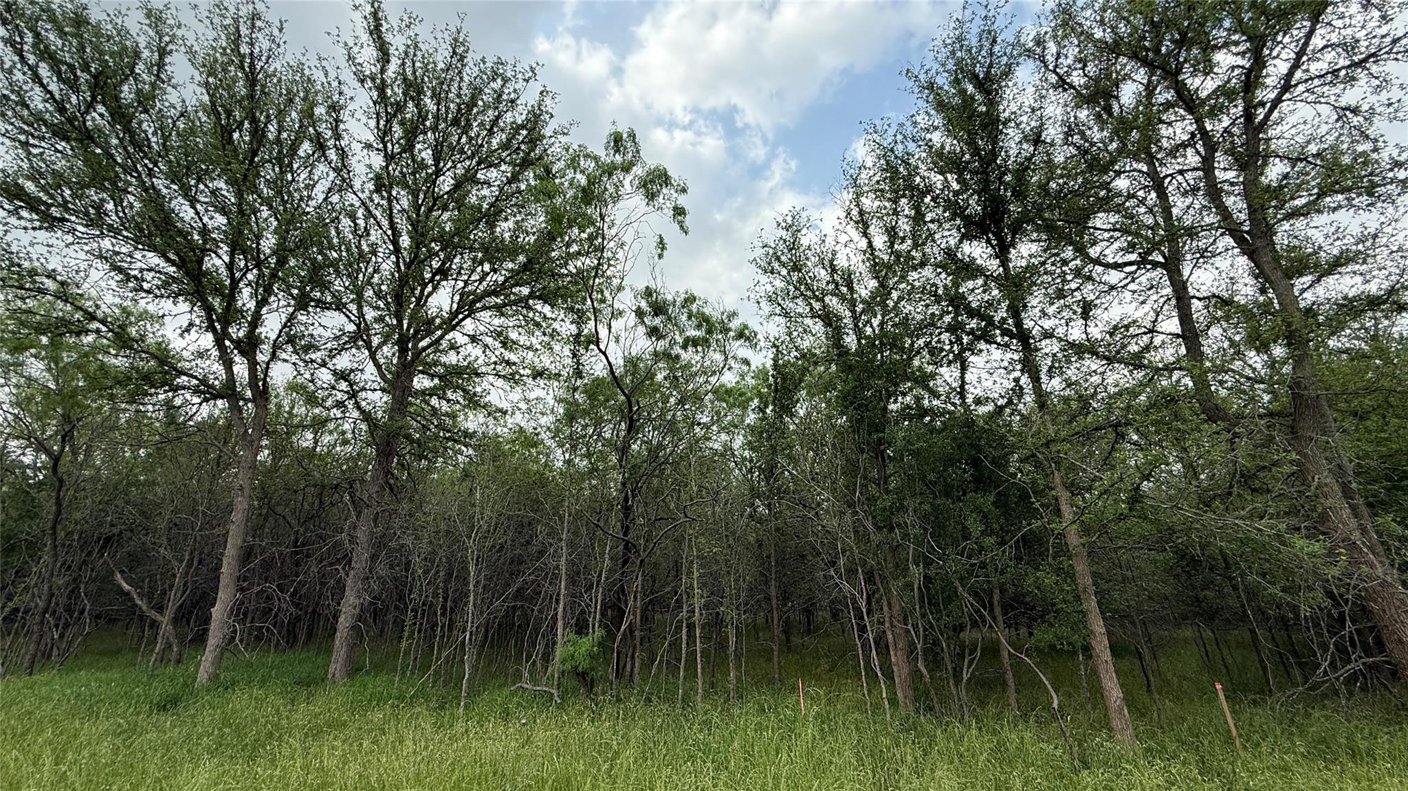 131 W Pauwela Ln, Bastrop, TX 78602