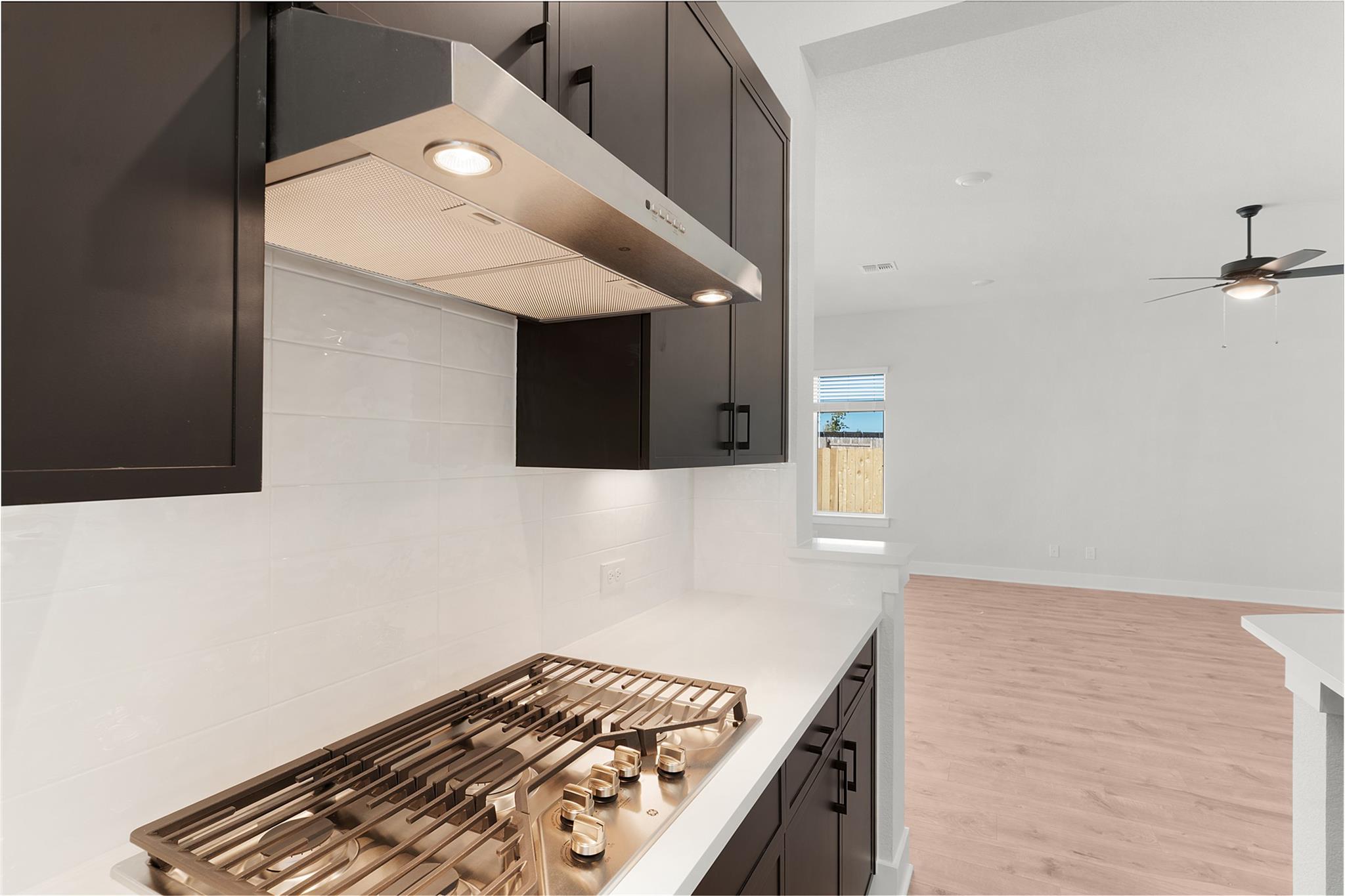 101 Golden Sage Ave, Georgetown, TX 78633