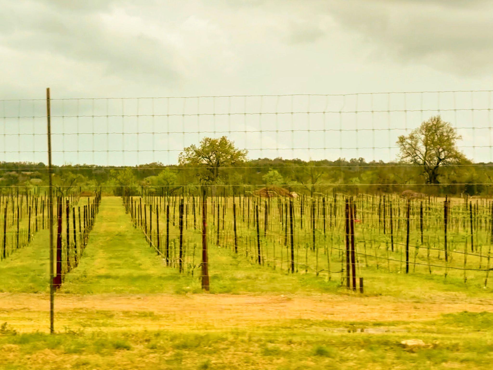 TBD Westshore (lot 14) Ln, Spicewood, TX 78669