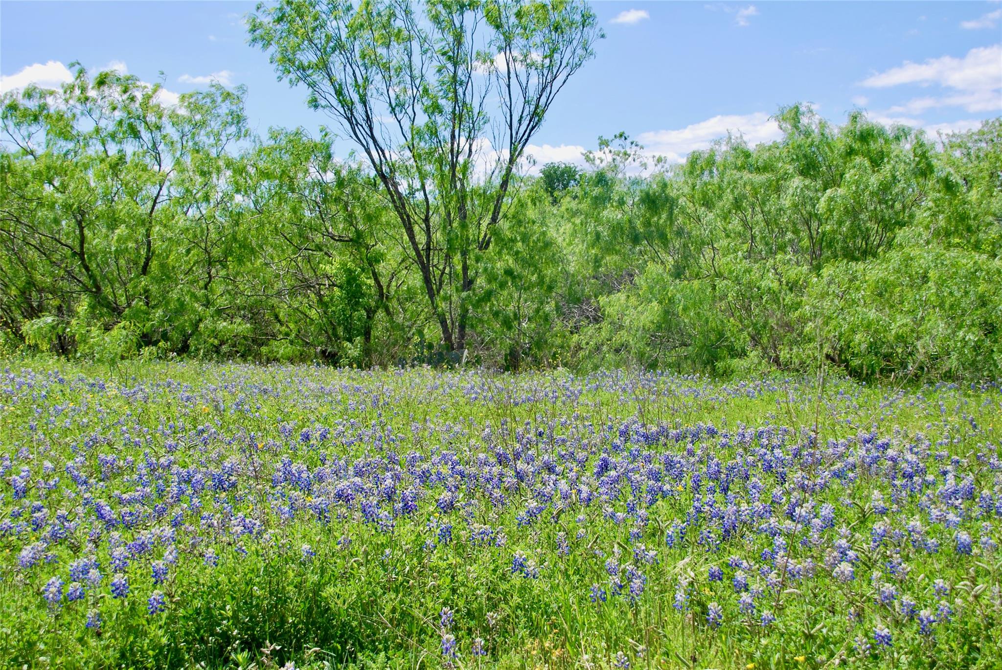 1835 Lehmann Rd, San Marcos, TX 78666