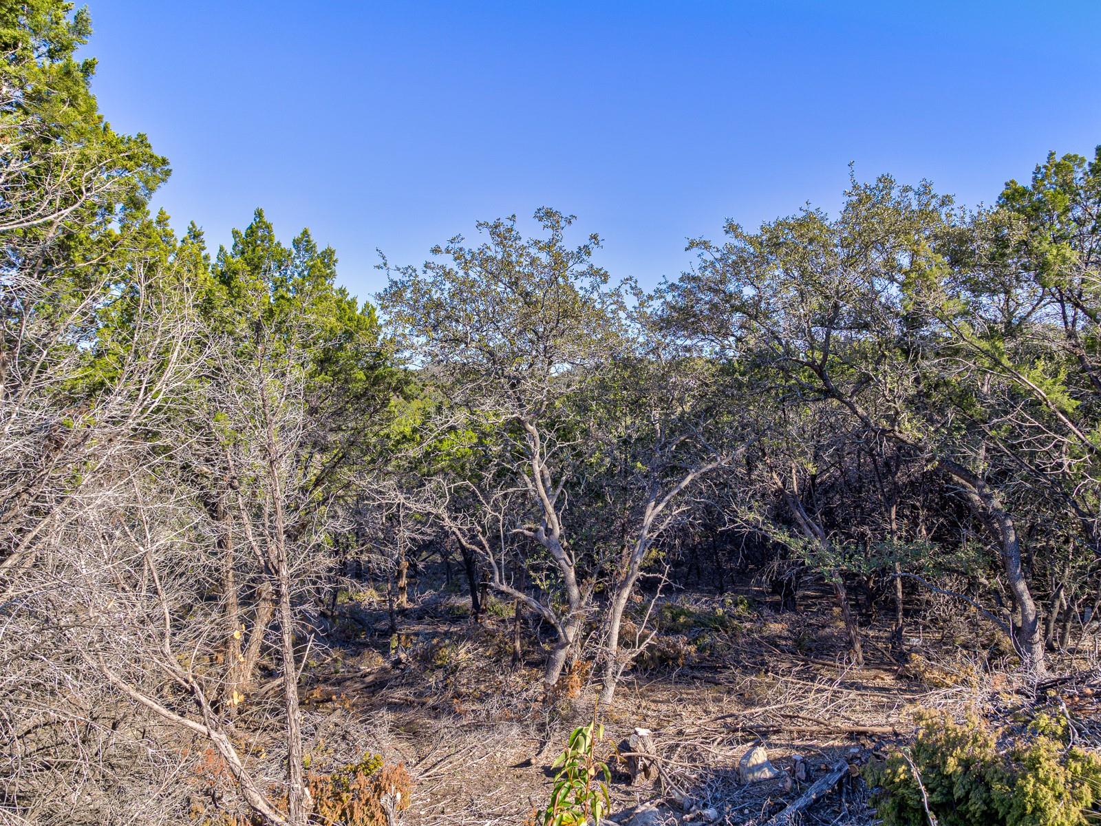 5103 Moss Pt, Lago Vista, TX 78645