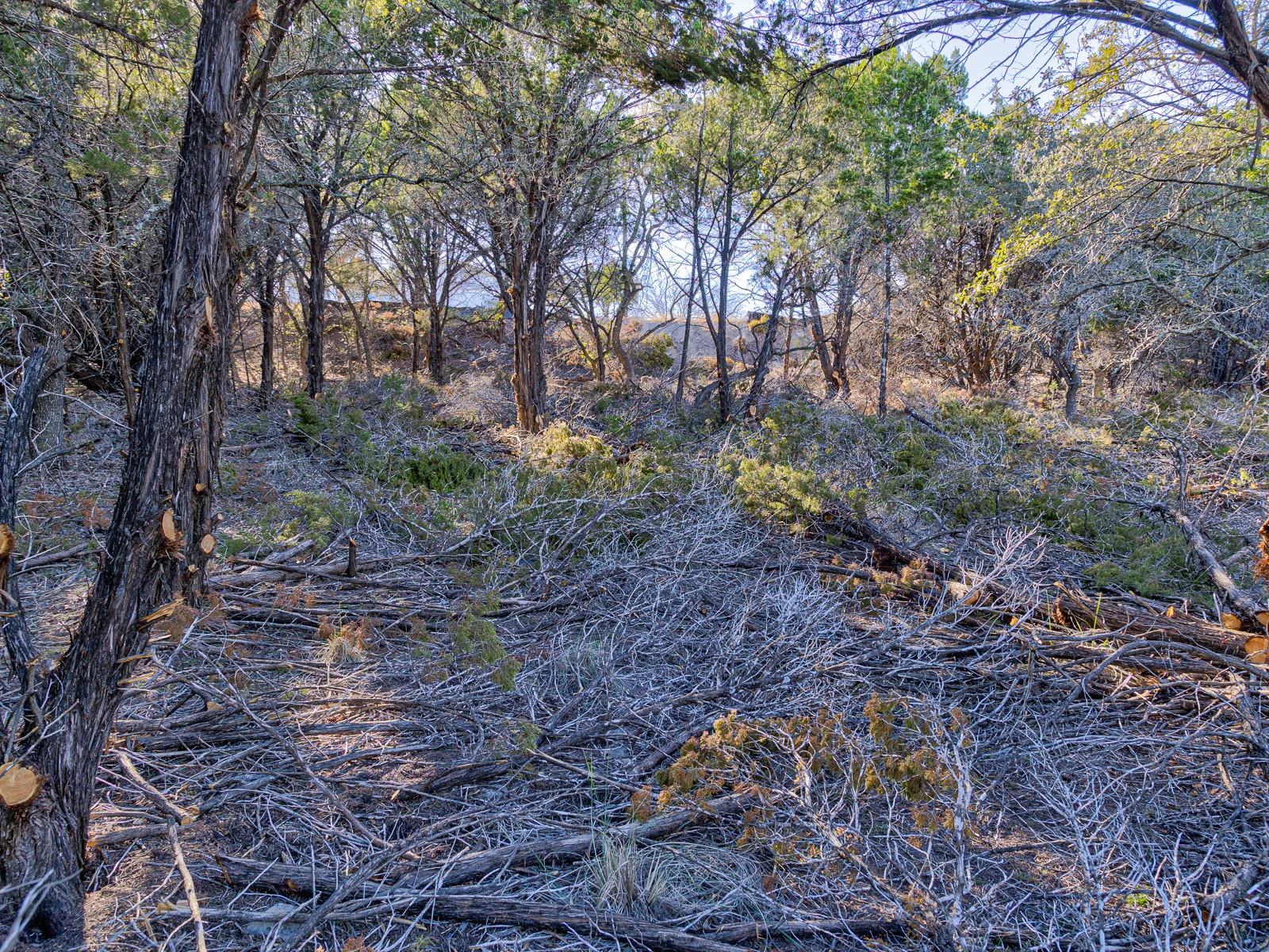 5103 Moss Pt, Lago Vista, TX 78645