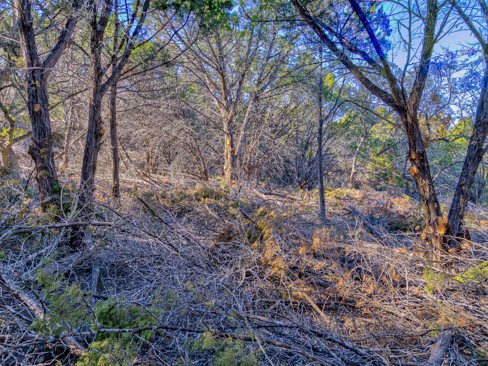 5103 Moss Pt, Lago Vista, TX 78645