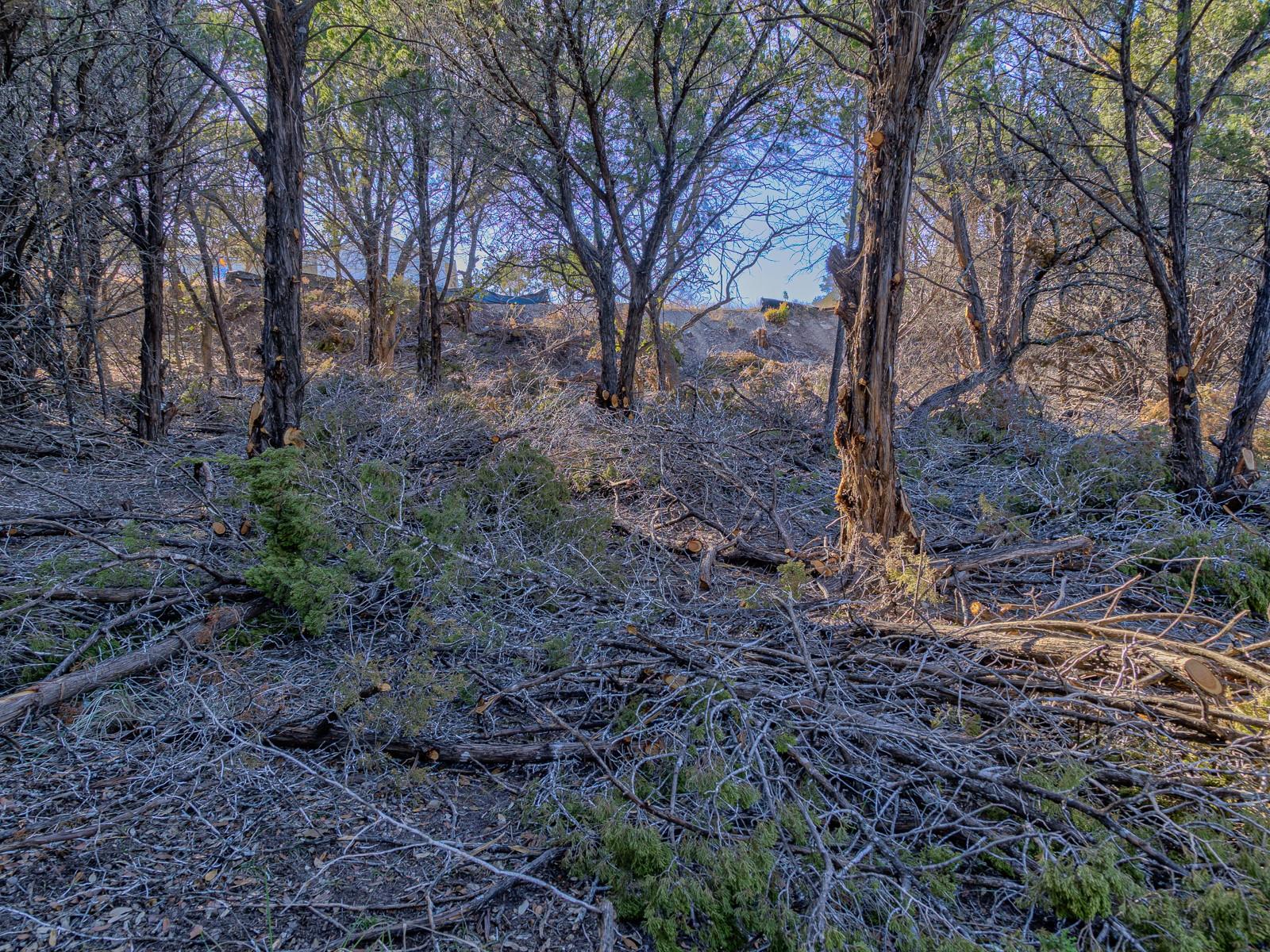 5103 Moss Pt, Lago Vista, TX 78645