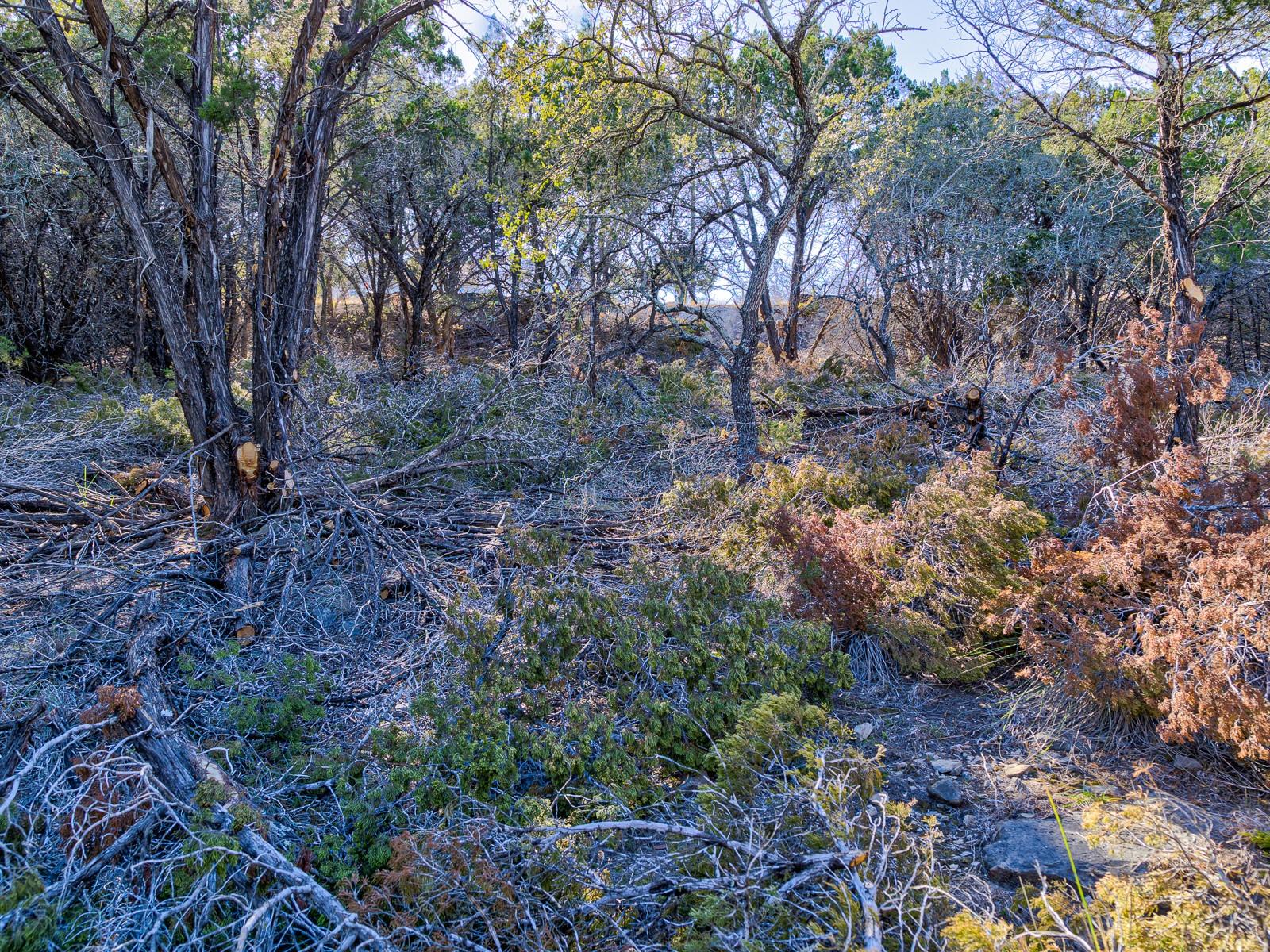 5103 Moss Pt, Lago Vista, TX 78645