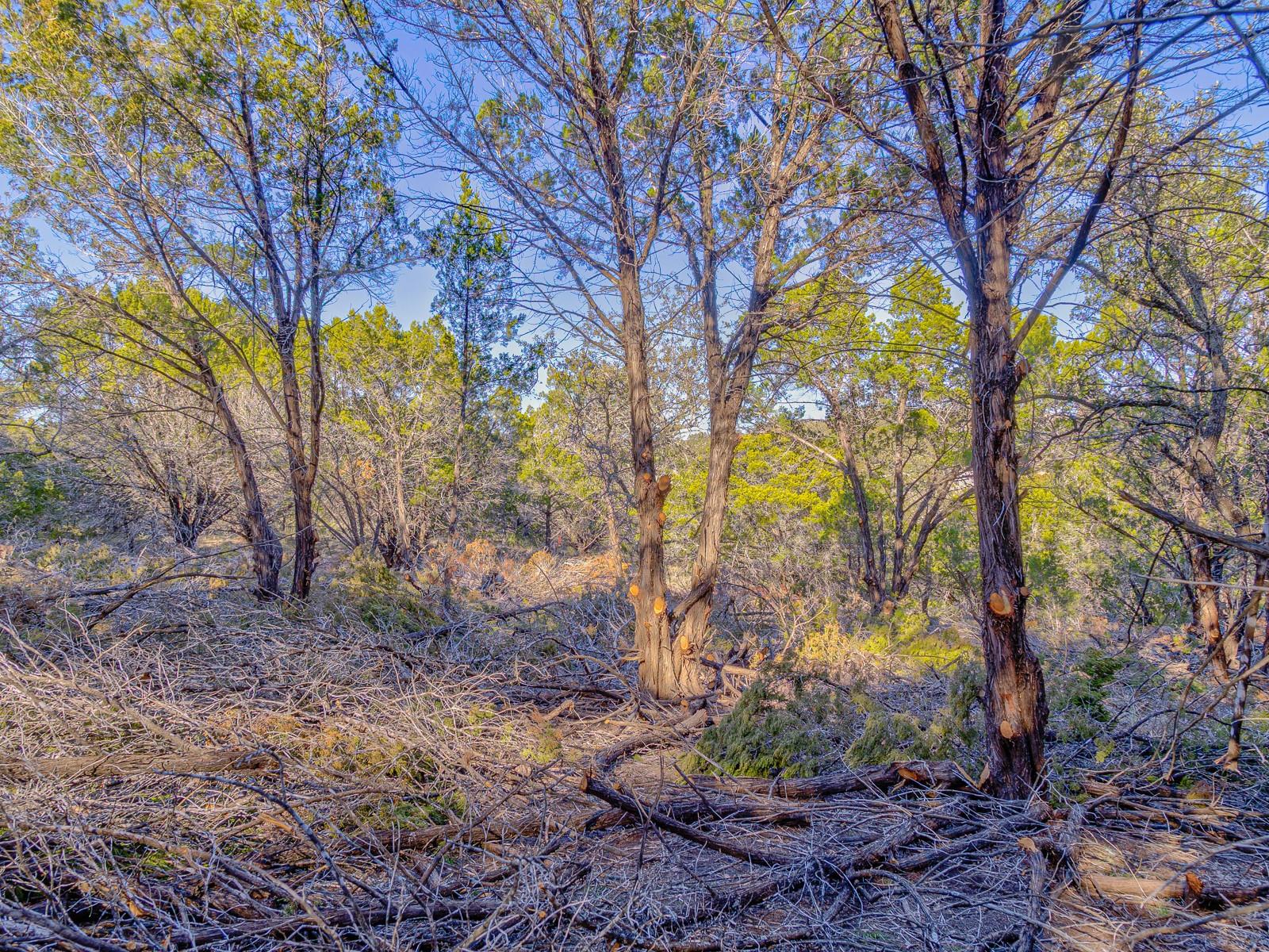 5103 Moss Pt, Lago Vista, TX 78645