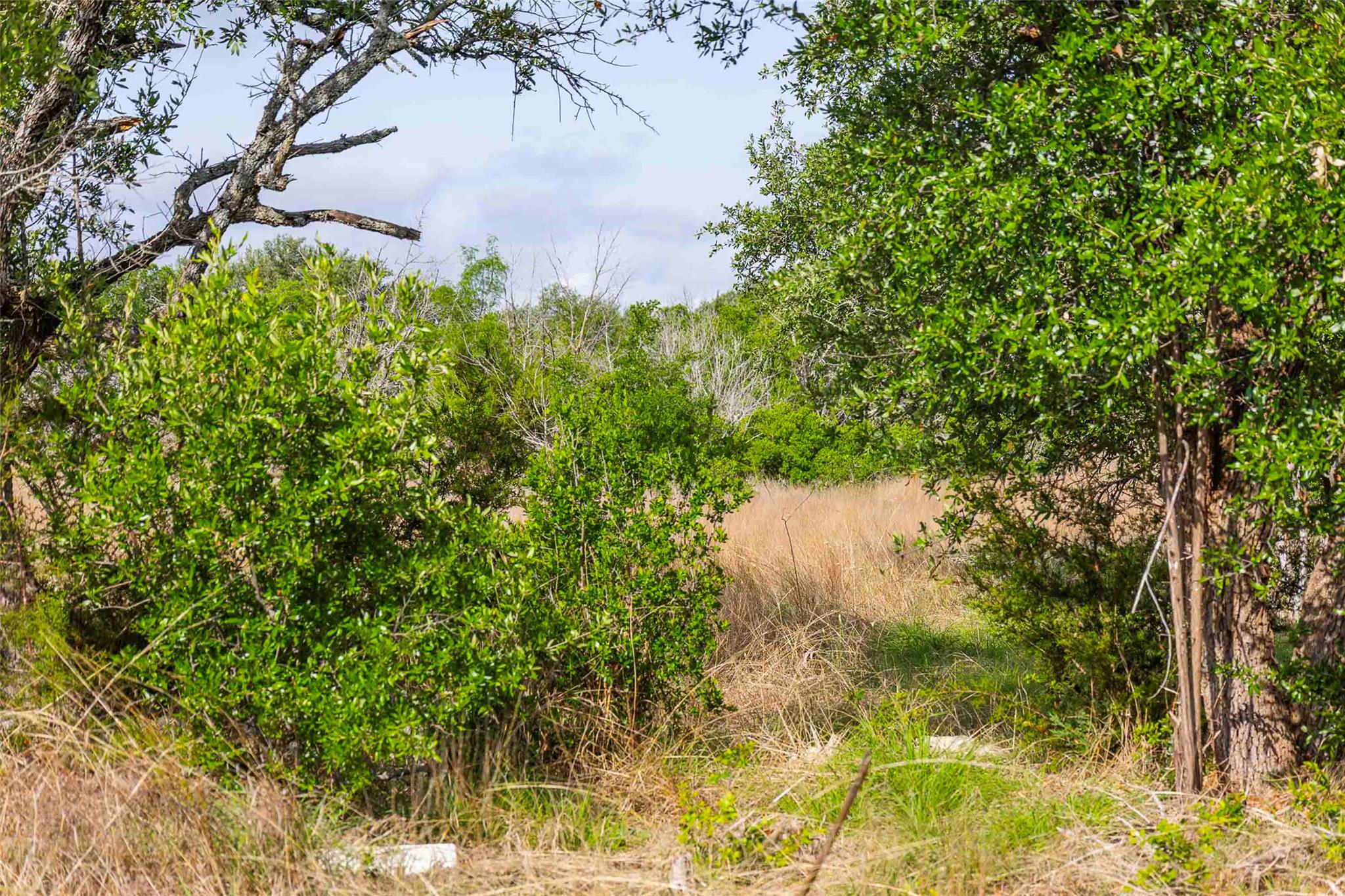 Lot 50 Mountain Laurel Ln, Spicewood, TX 78669