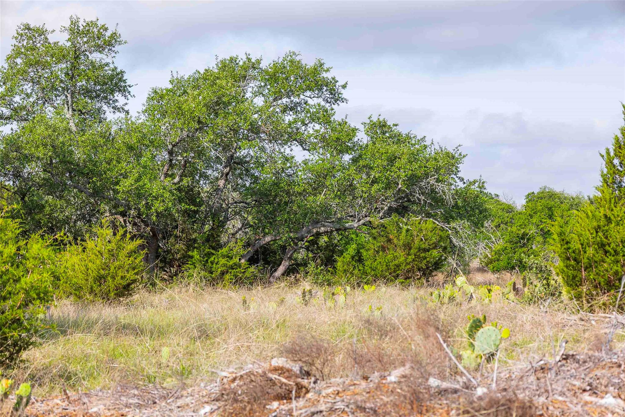 Lot 50 Mountain Laurel Ln, Spicewood, TX 78669