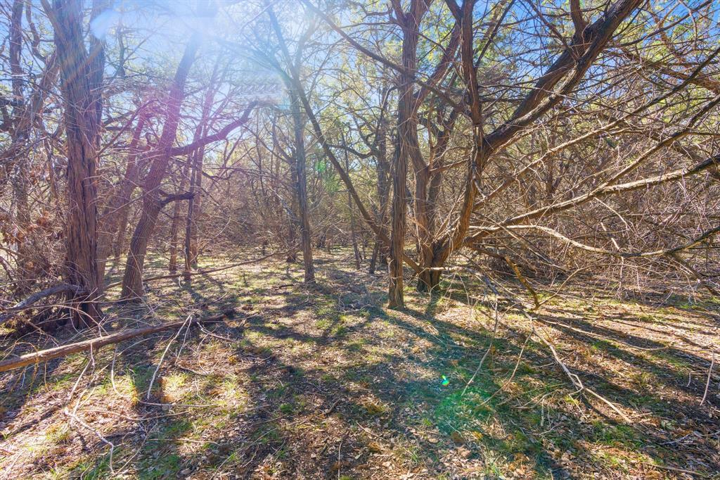 1552 S Rainbow Ranch Rd, Wimberley, TX 78676