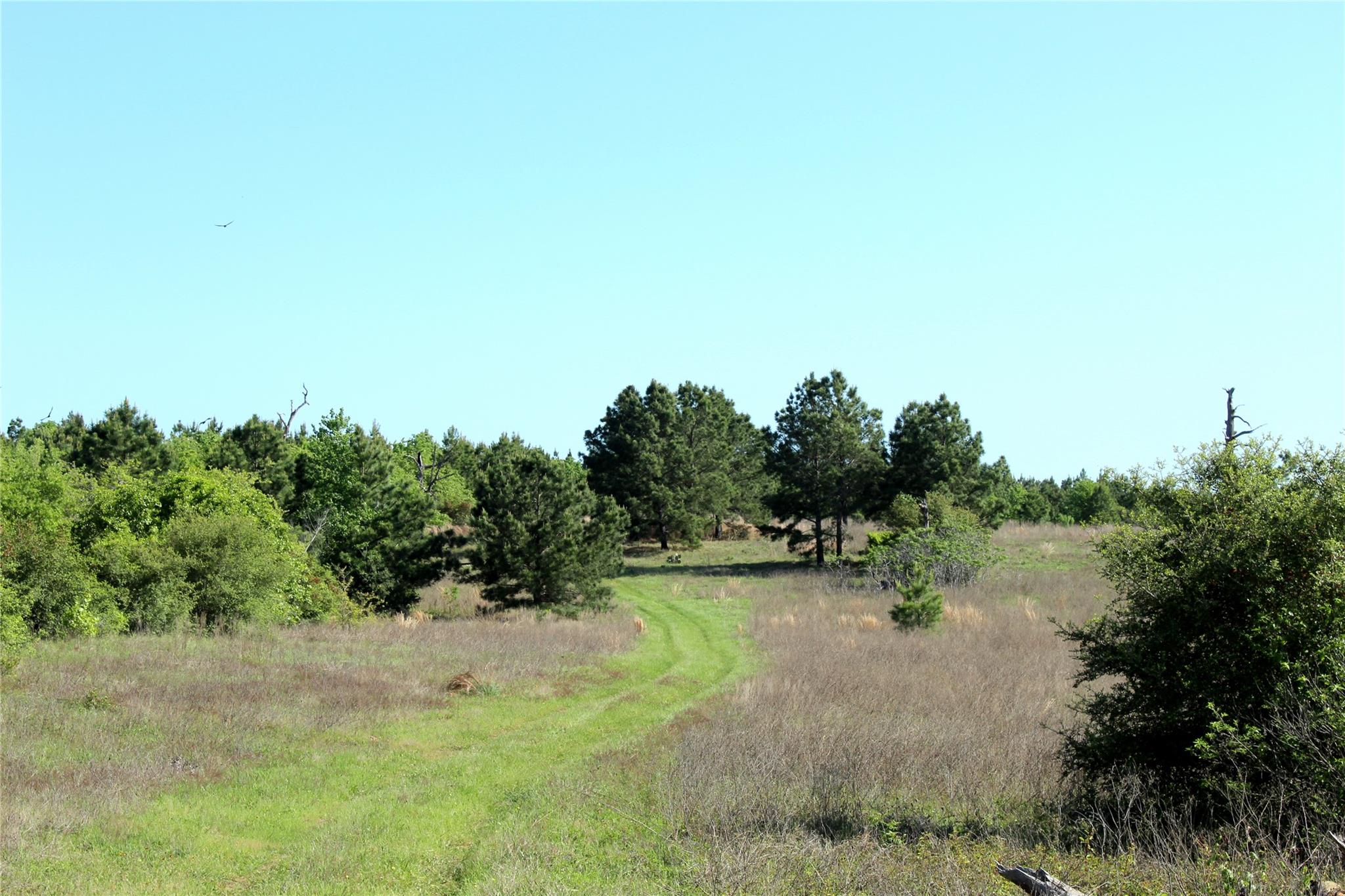 TBD Crafts Prairie Rd, Bastrop, TX 78602