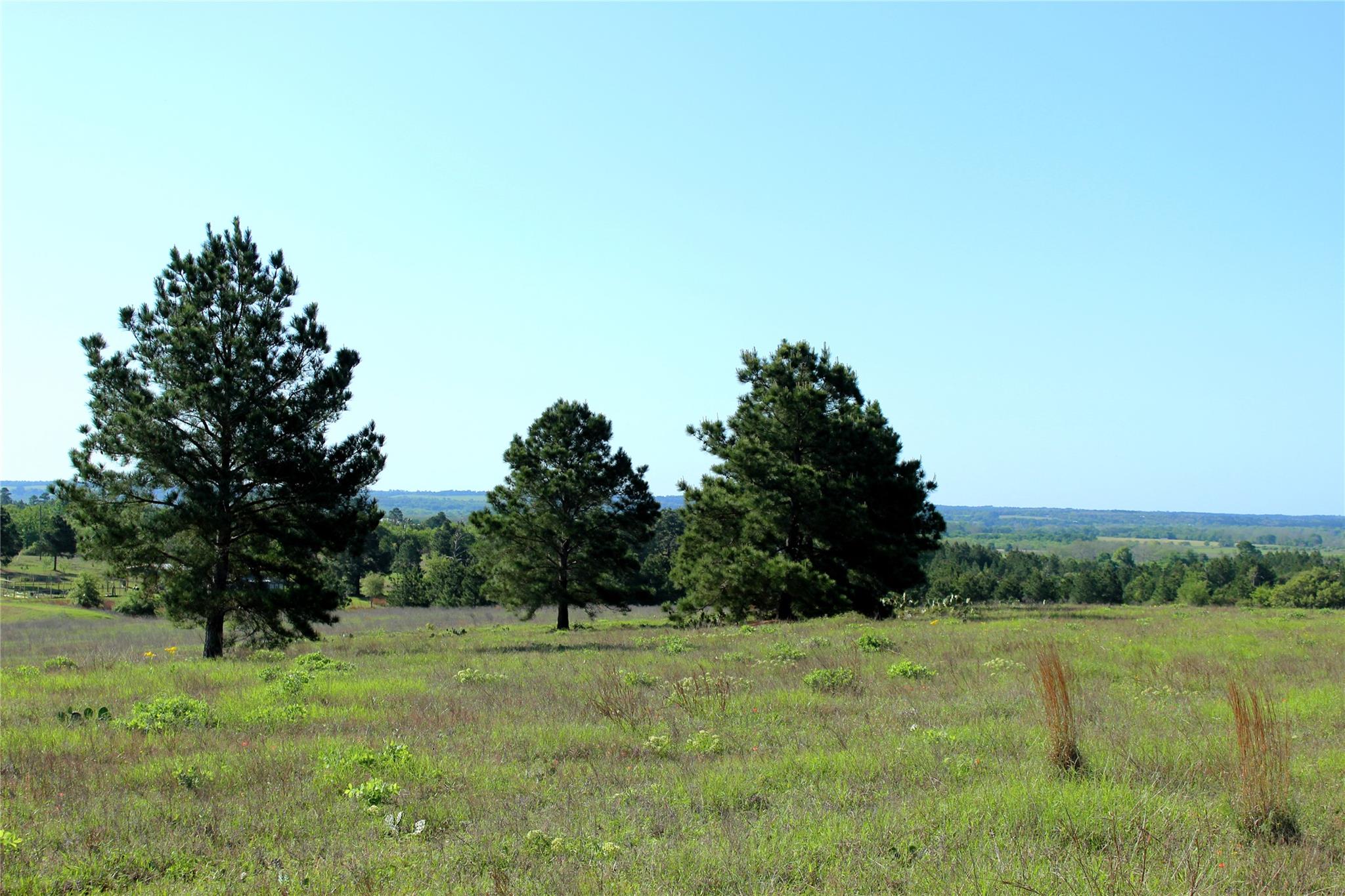 TBD Crafts Prairie Rd, Bastrop, TX 78602