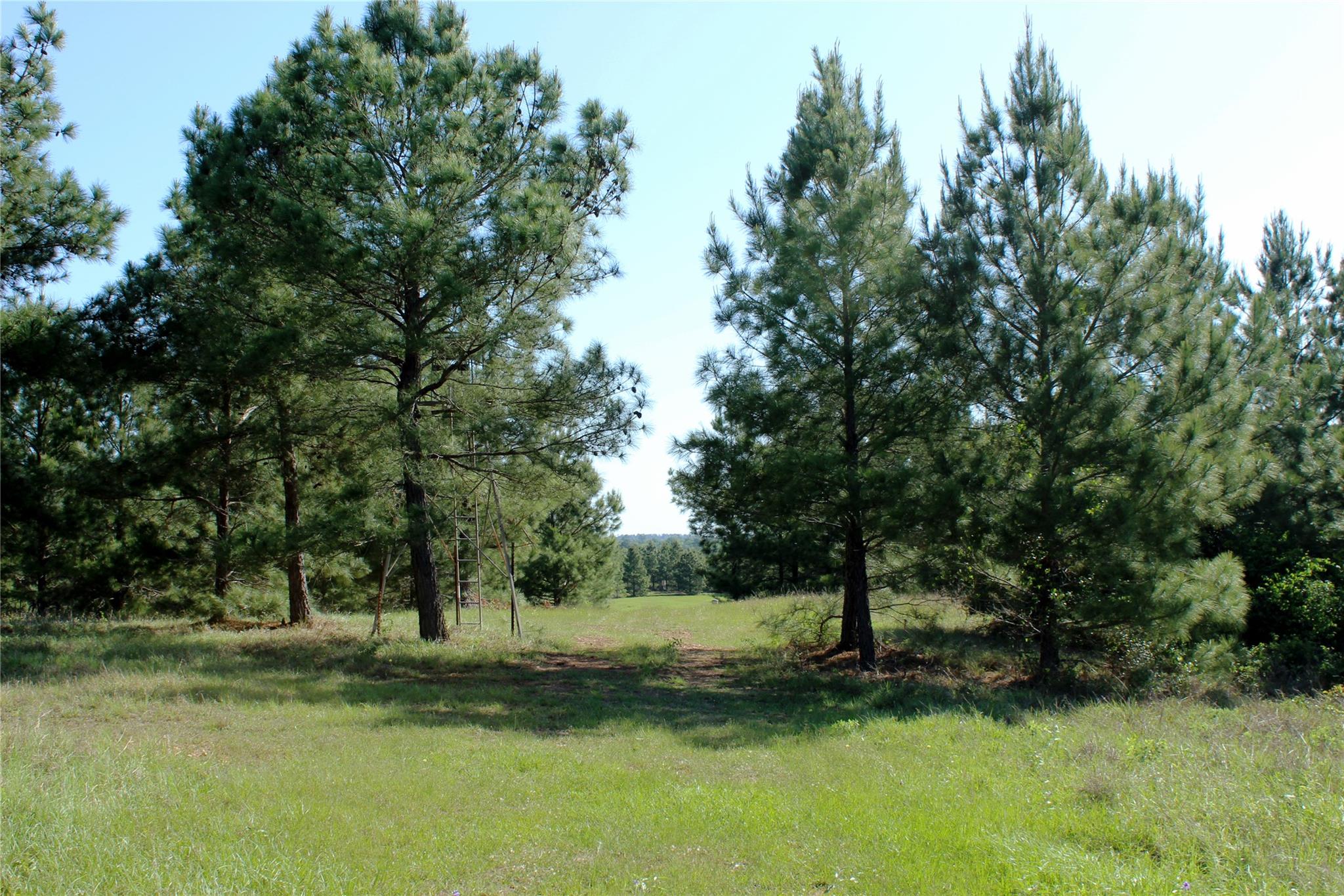 TBD Crafts Prairie Rd, Bastrop, TX 78602