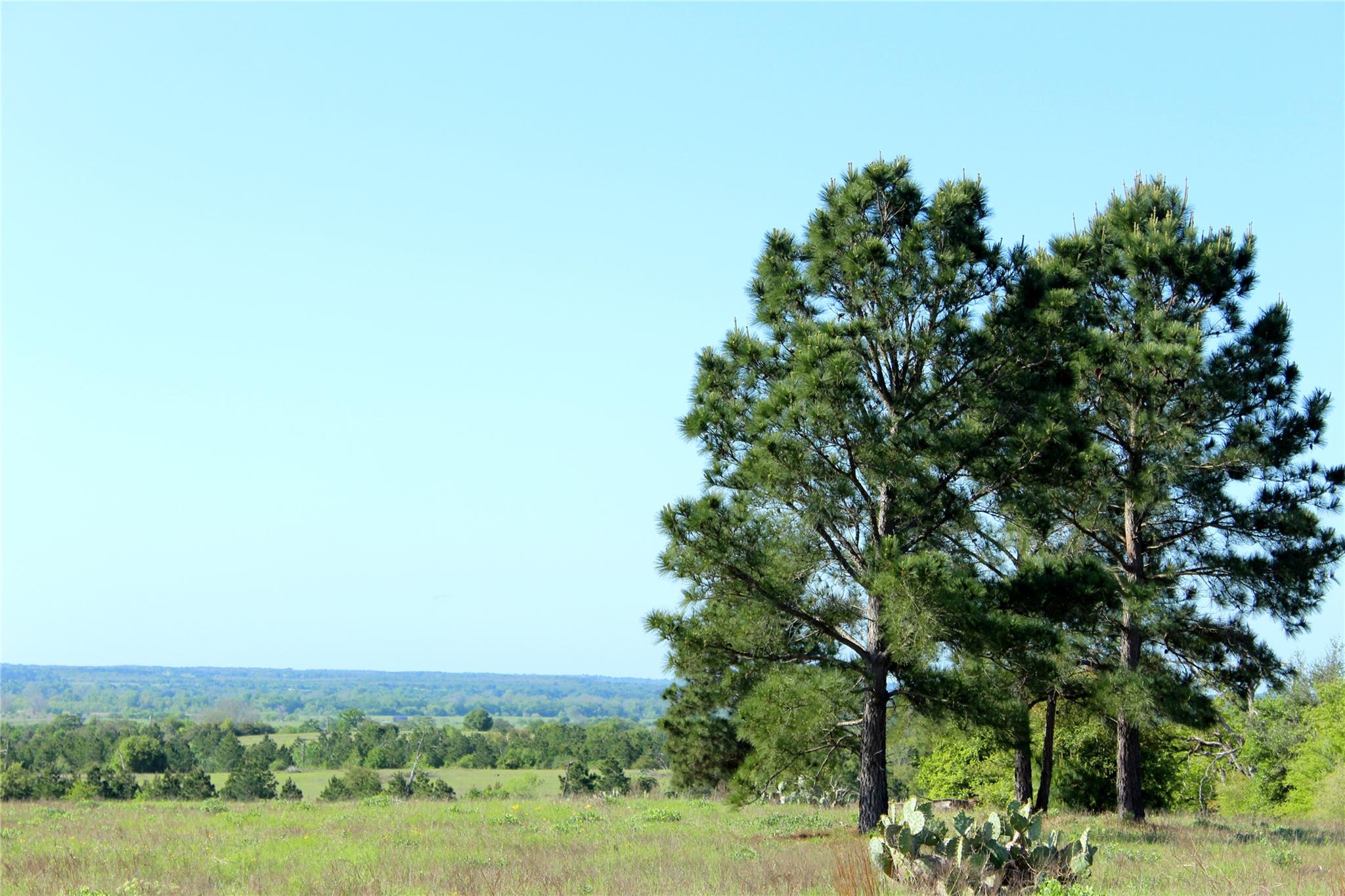 TBD Crafts Prairie Rd, Bastrop, TX 78602