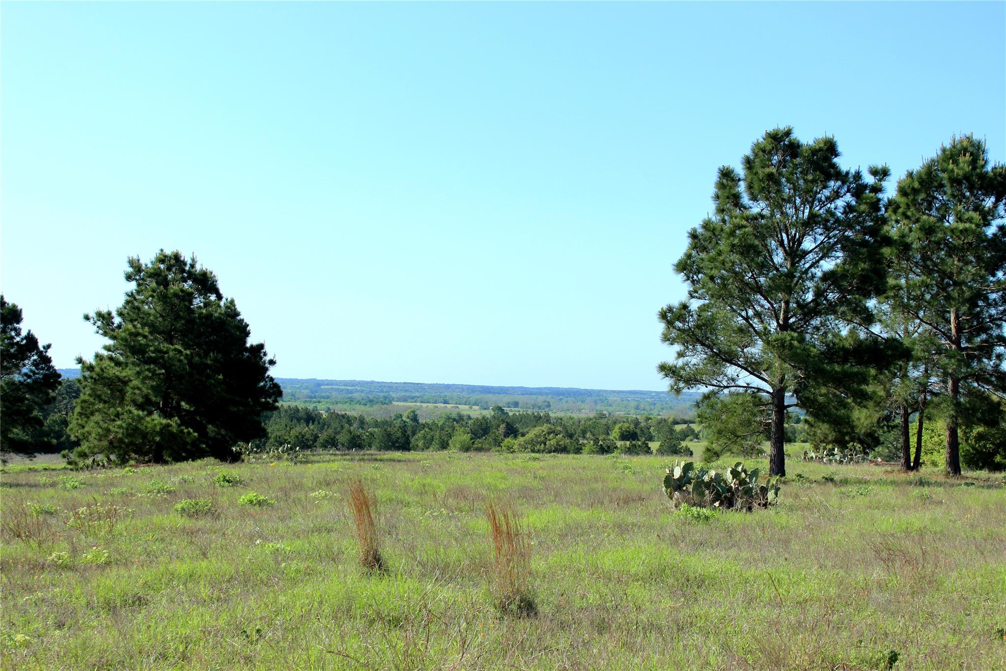 TBD Crafts Prairie Rd, Bastrop, TX 78602