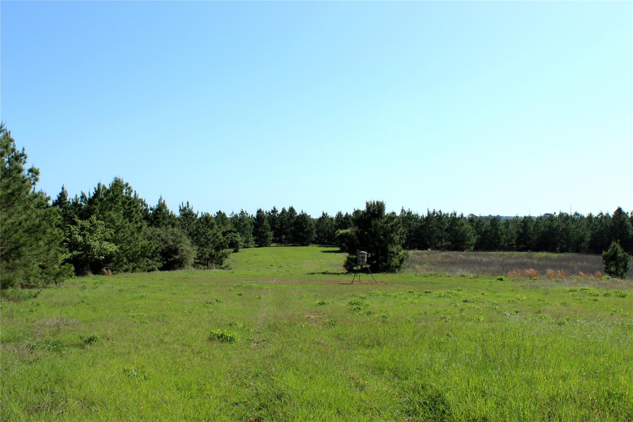 TBD Crafts Prairie Rd, Bastrop, TX 78602