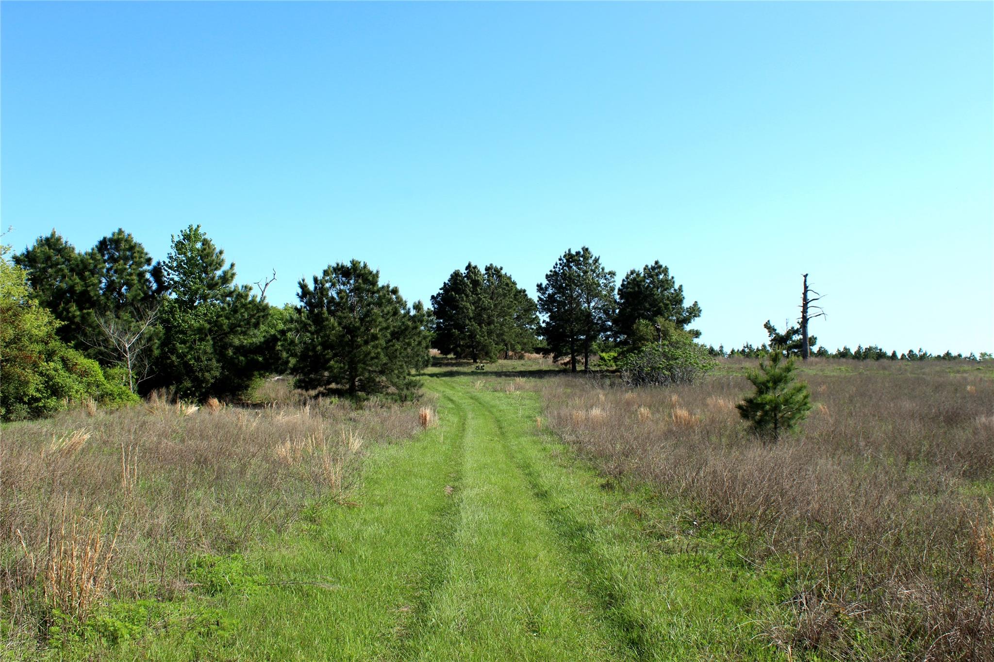 TBD Crafts Prairie Rd, Bastrop, TX 78602