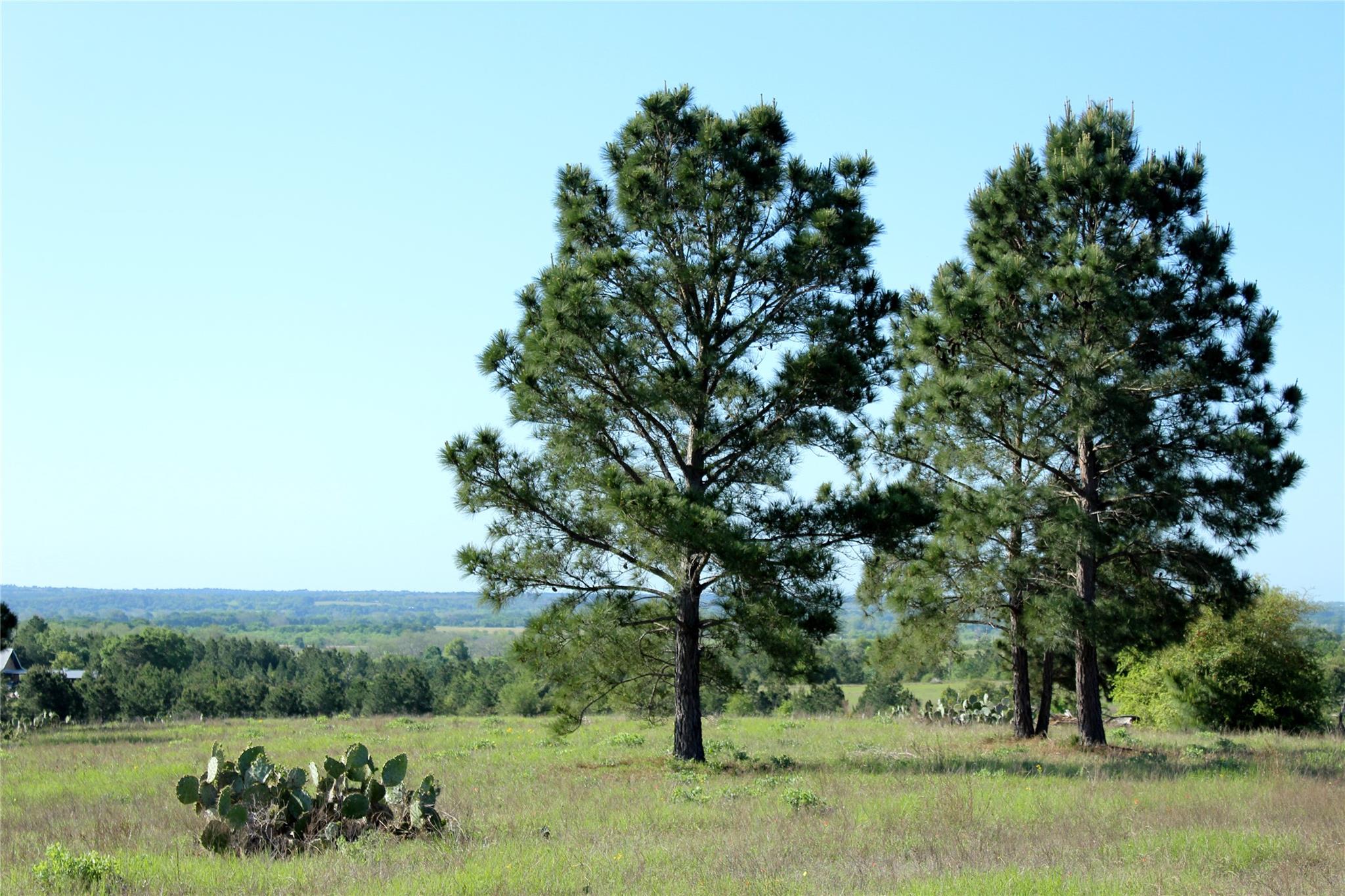 TBD Crafts Prairie Rd, Bastrop, TX 78602