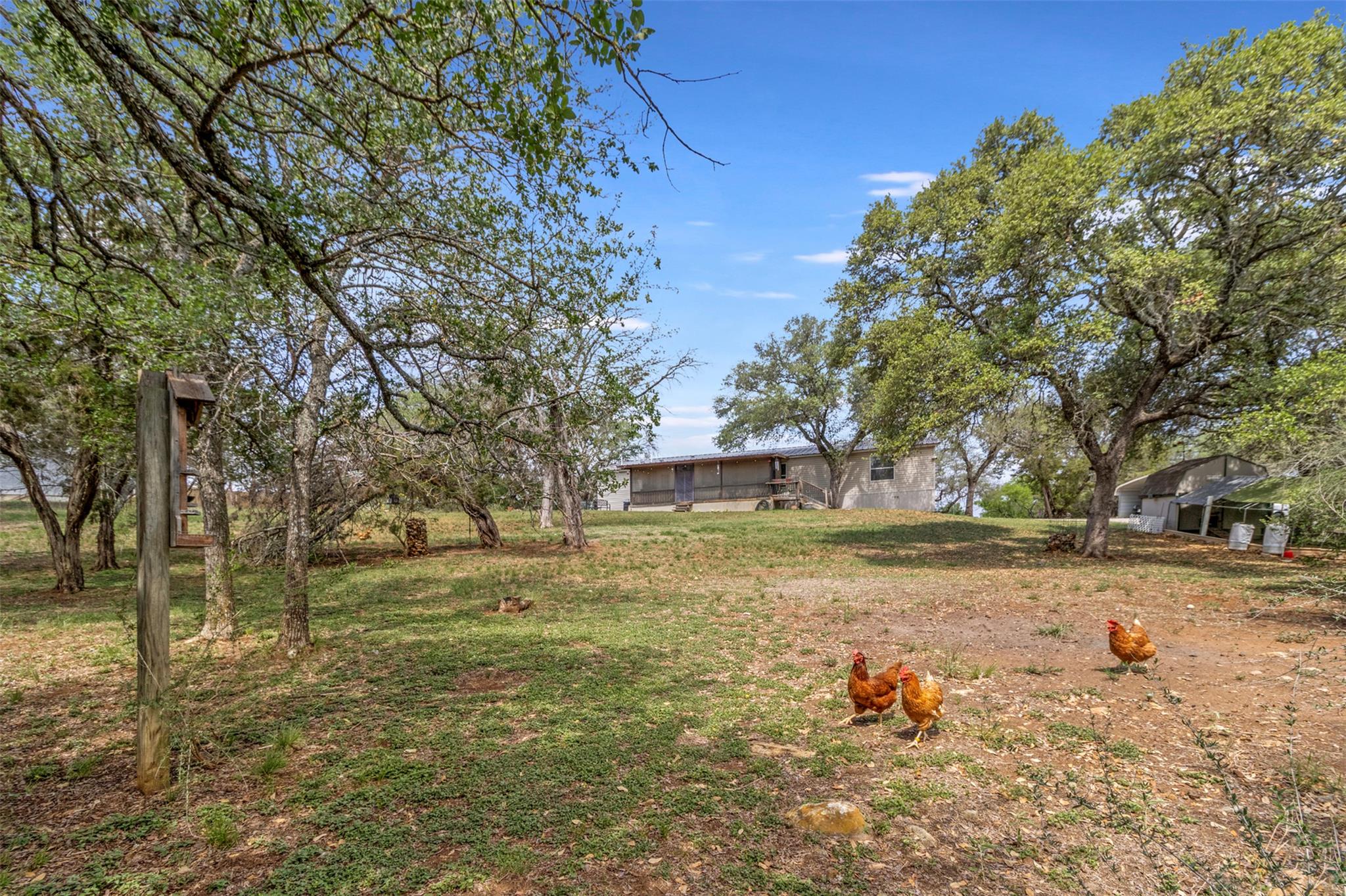 119 Whitetail, Burnet, TX 78611