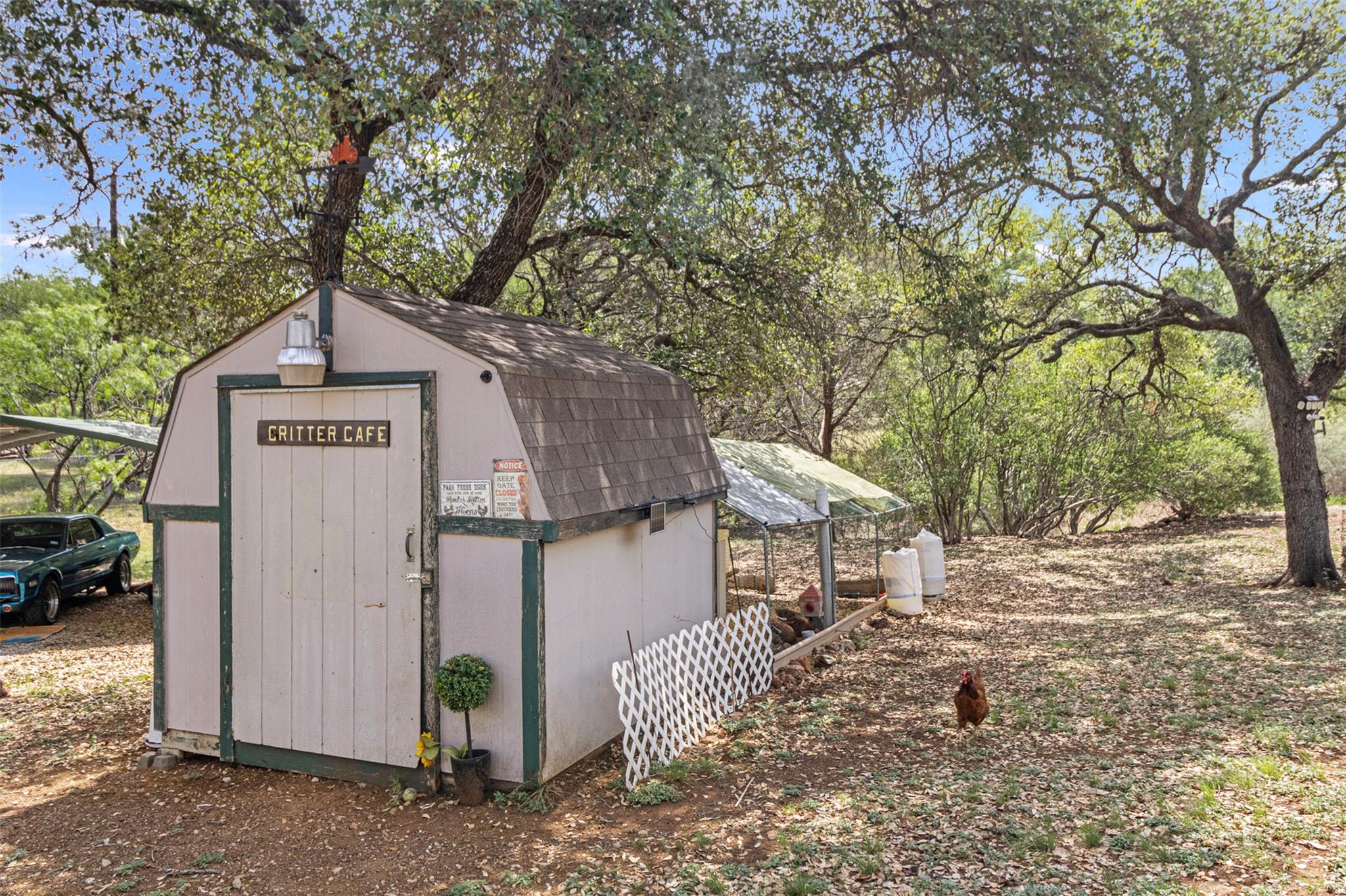 119 Whitetail, Burnet, TX 78611