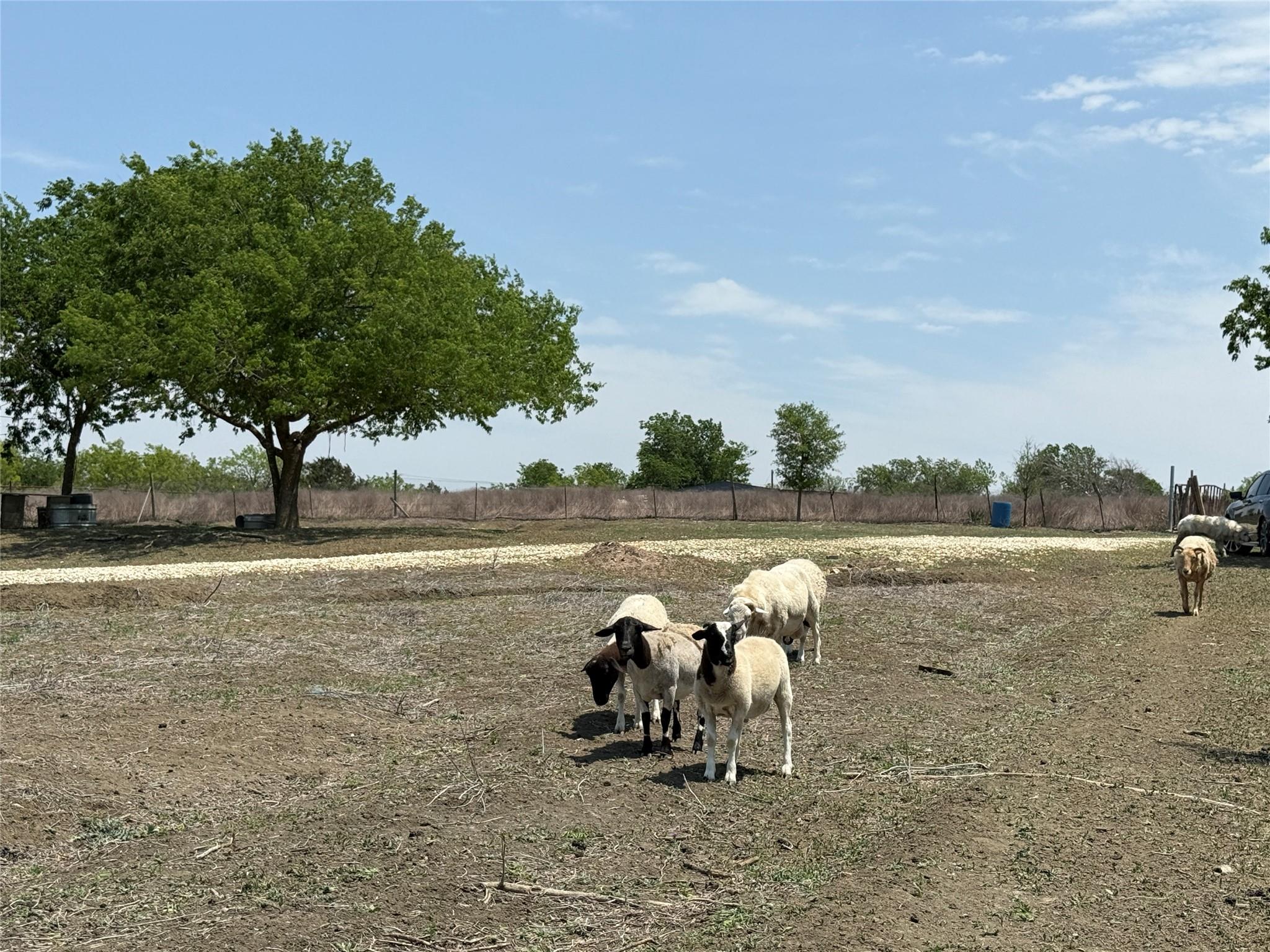 1796 County Road 139 Rd, Hutto, TX 78634